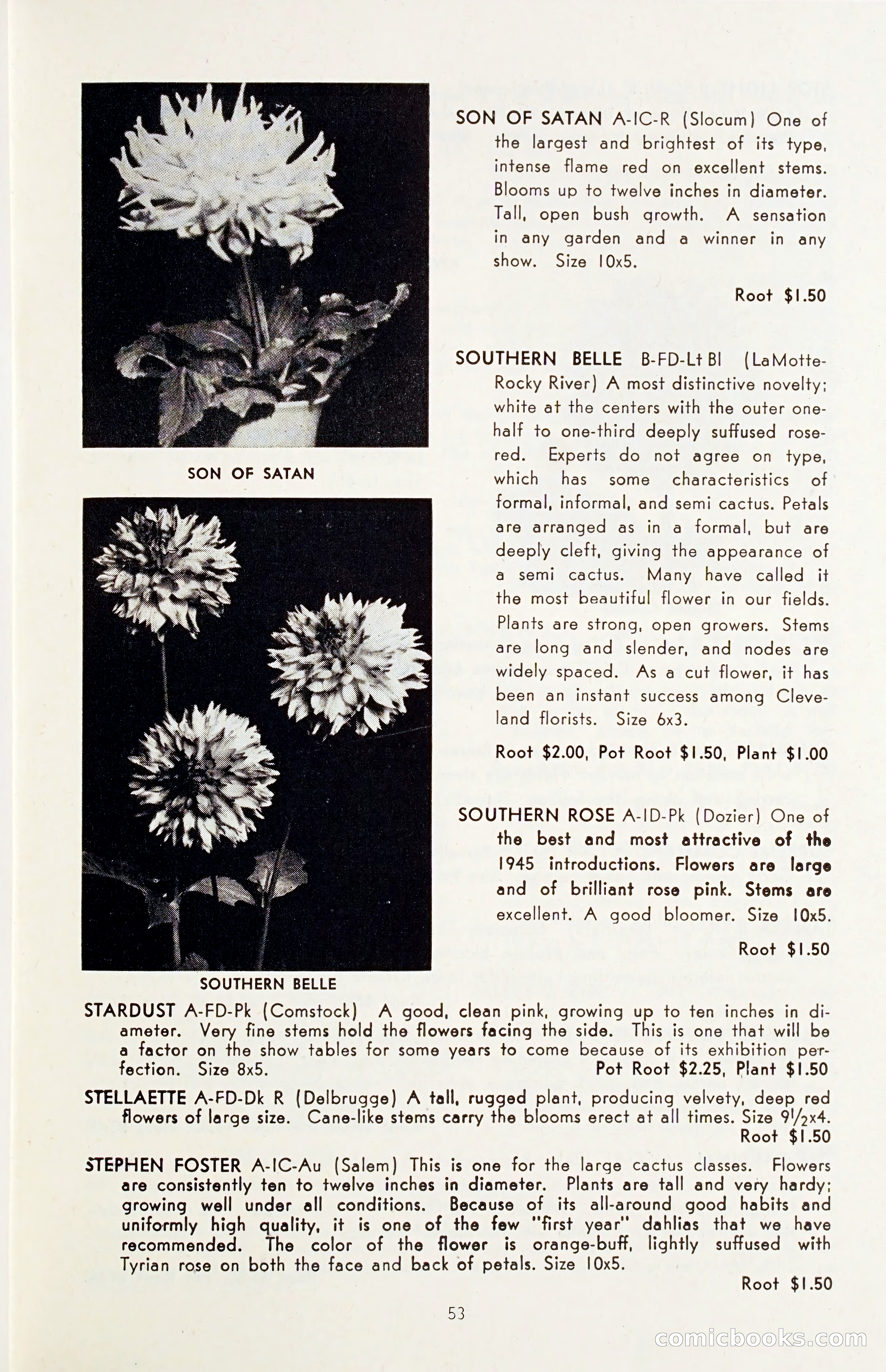 The Dahlia Blue Book for 1955 — page 56 of 79