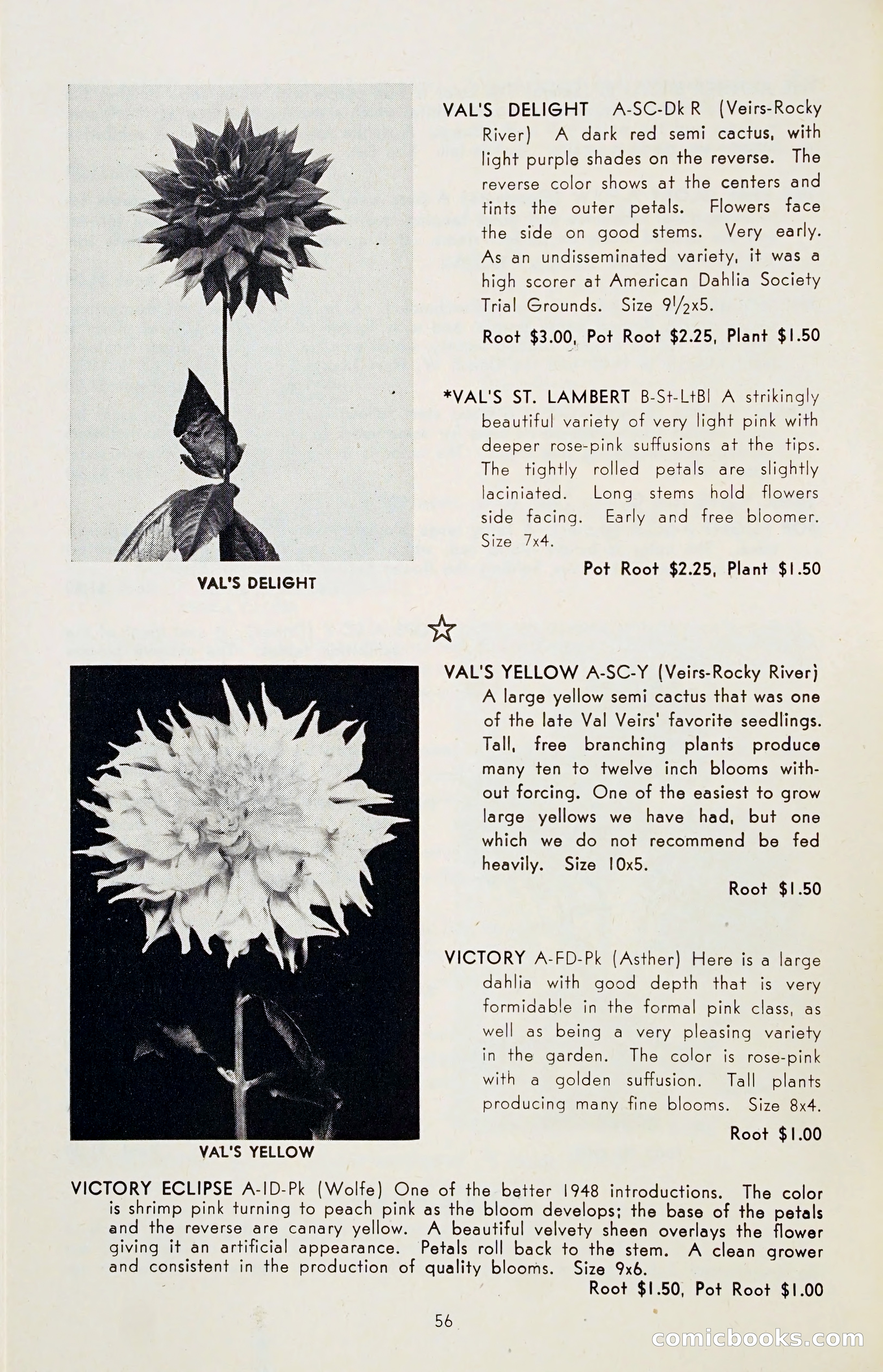 The Dahlia Blue Book for 1955 — page 59 of 79