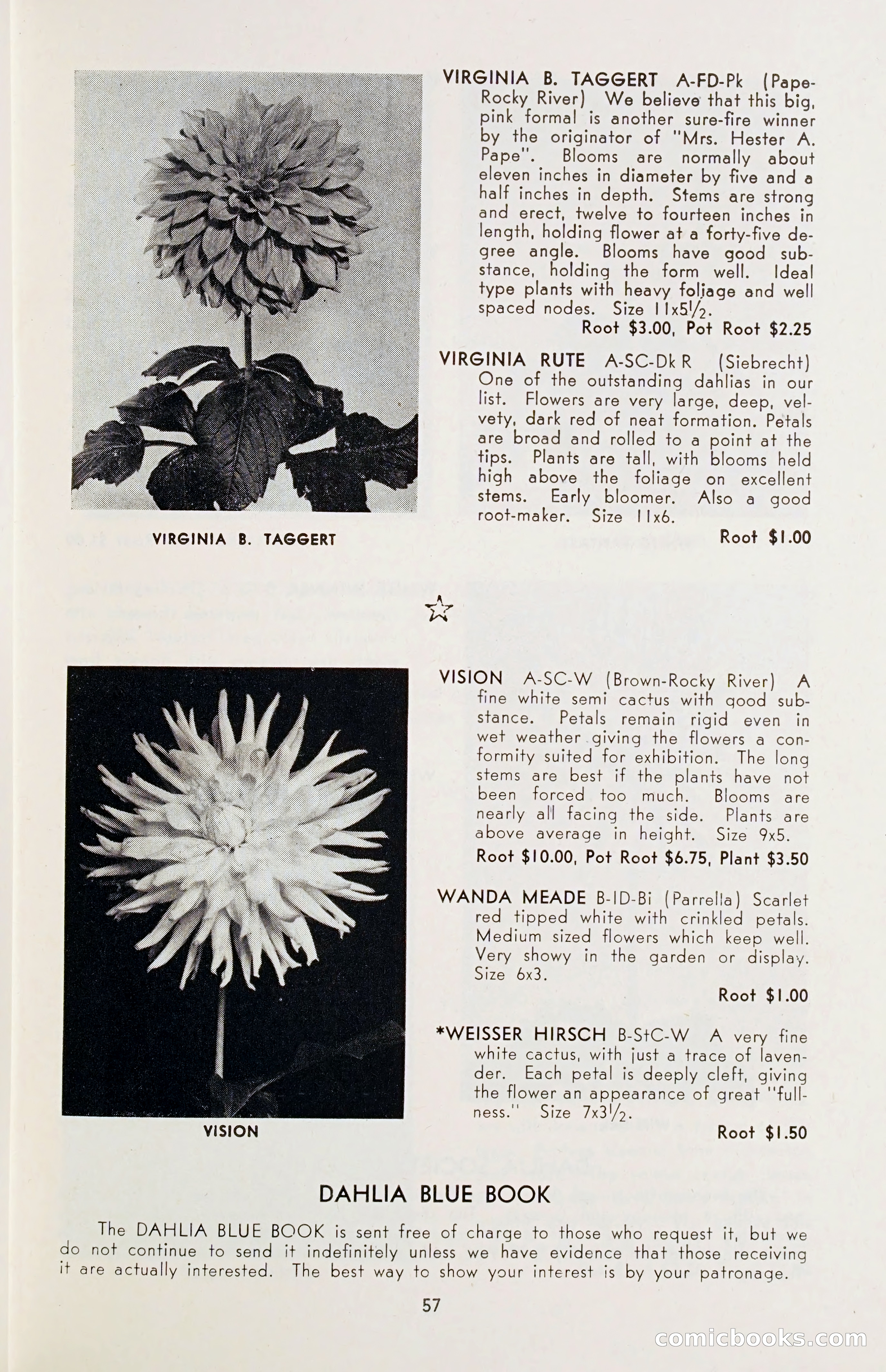 The Dahlia Blue Book for 1955 — page 60 of 79