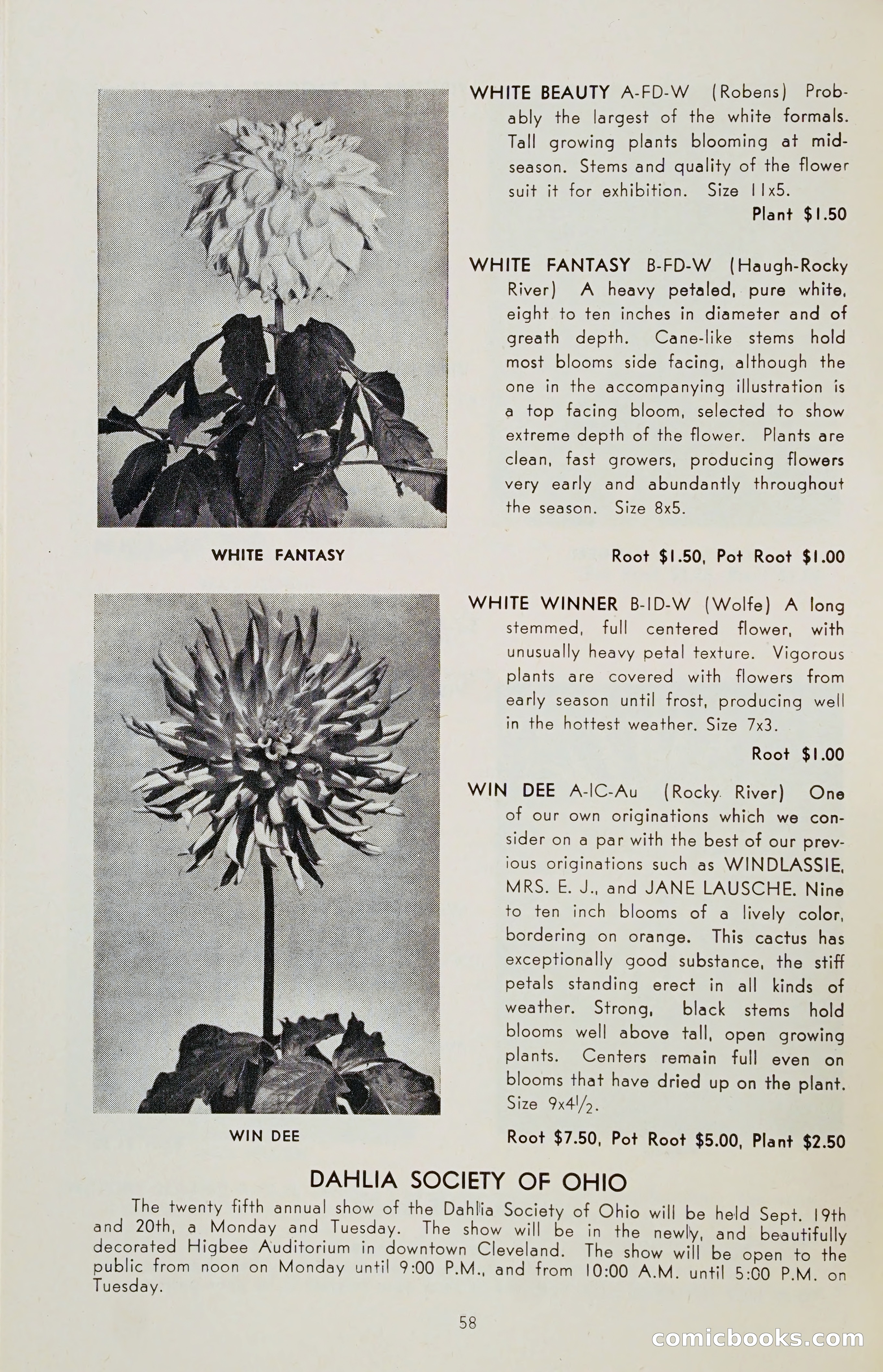 The Dahlia Blue Book for 1955 — page 61 of 79