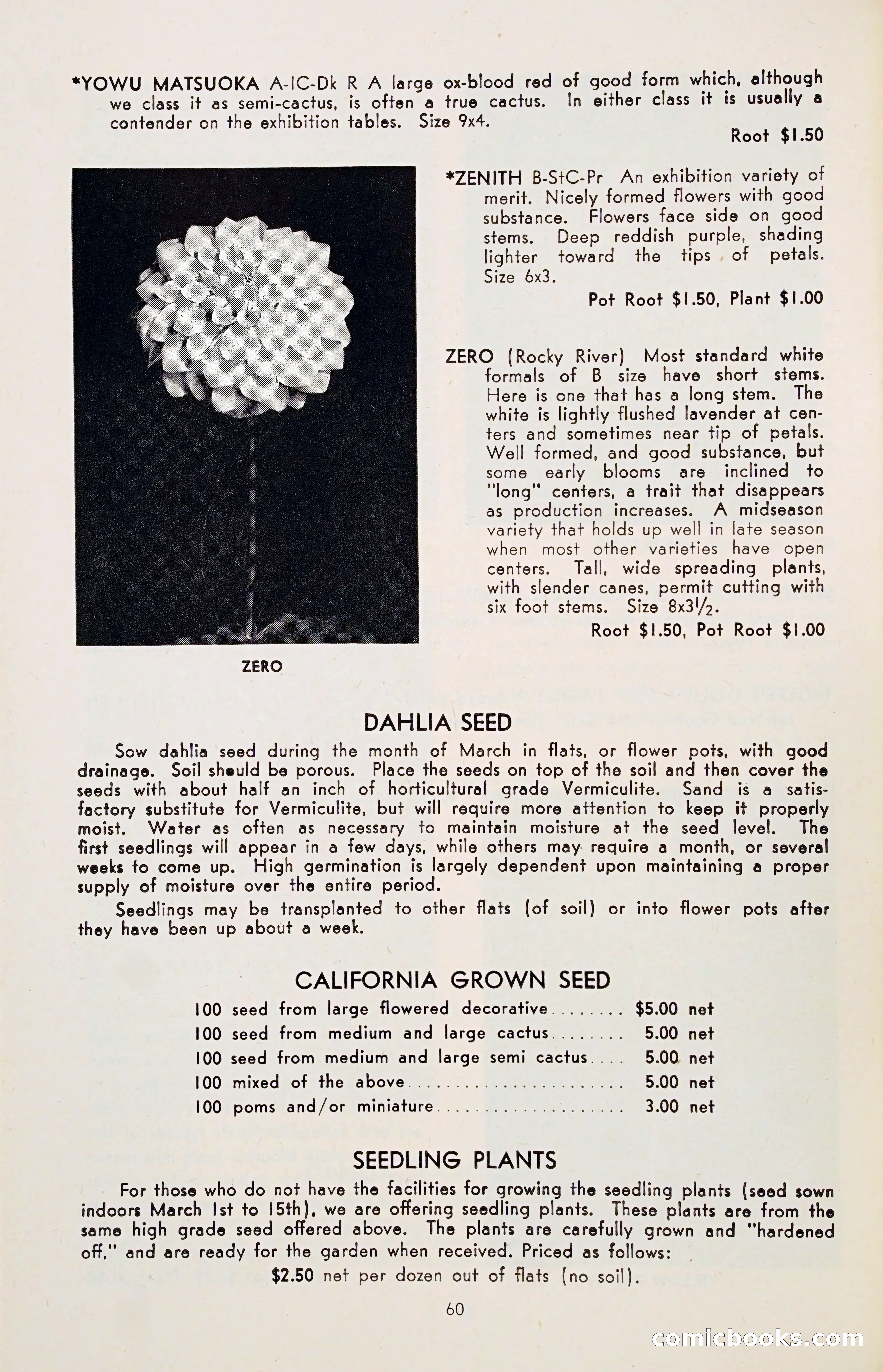 The Dahlia Blue Book for 1955 — page 63 of 79