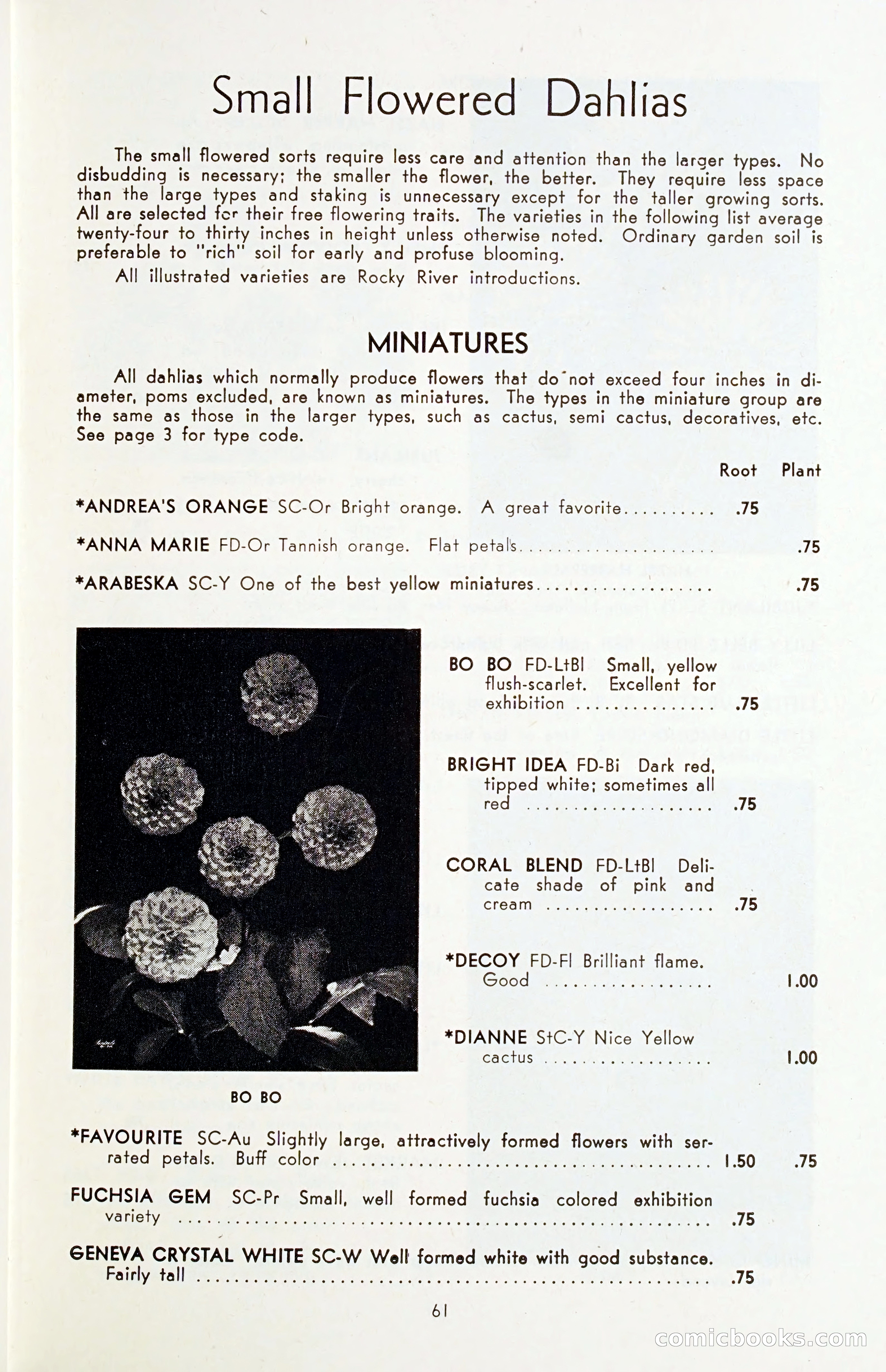 The Dahlia Blue Book for 1955 — page 64 of 79