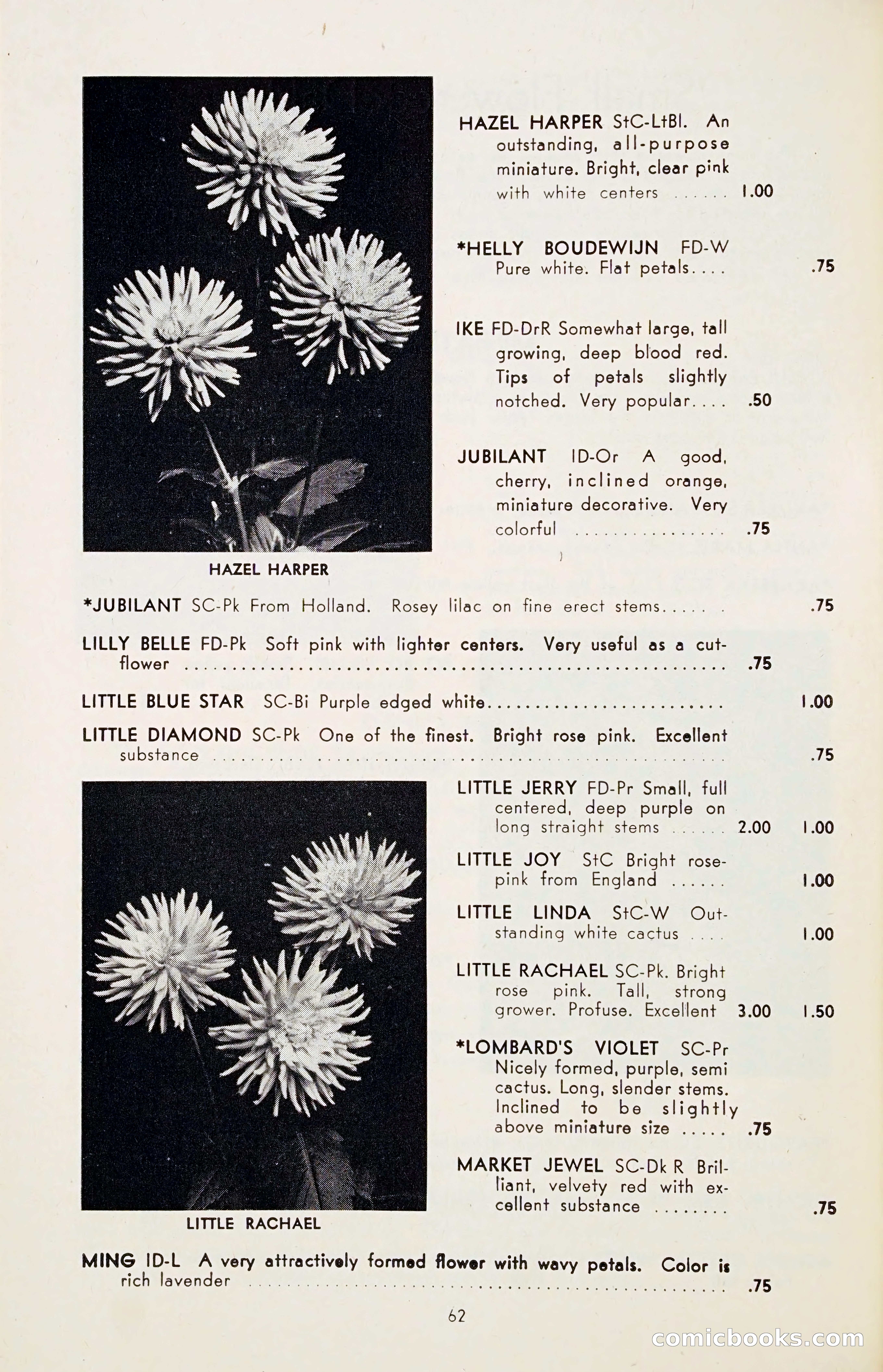 The Dahlia Blue Book for 1955 — page 65 of 79