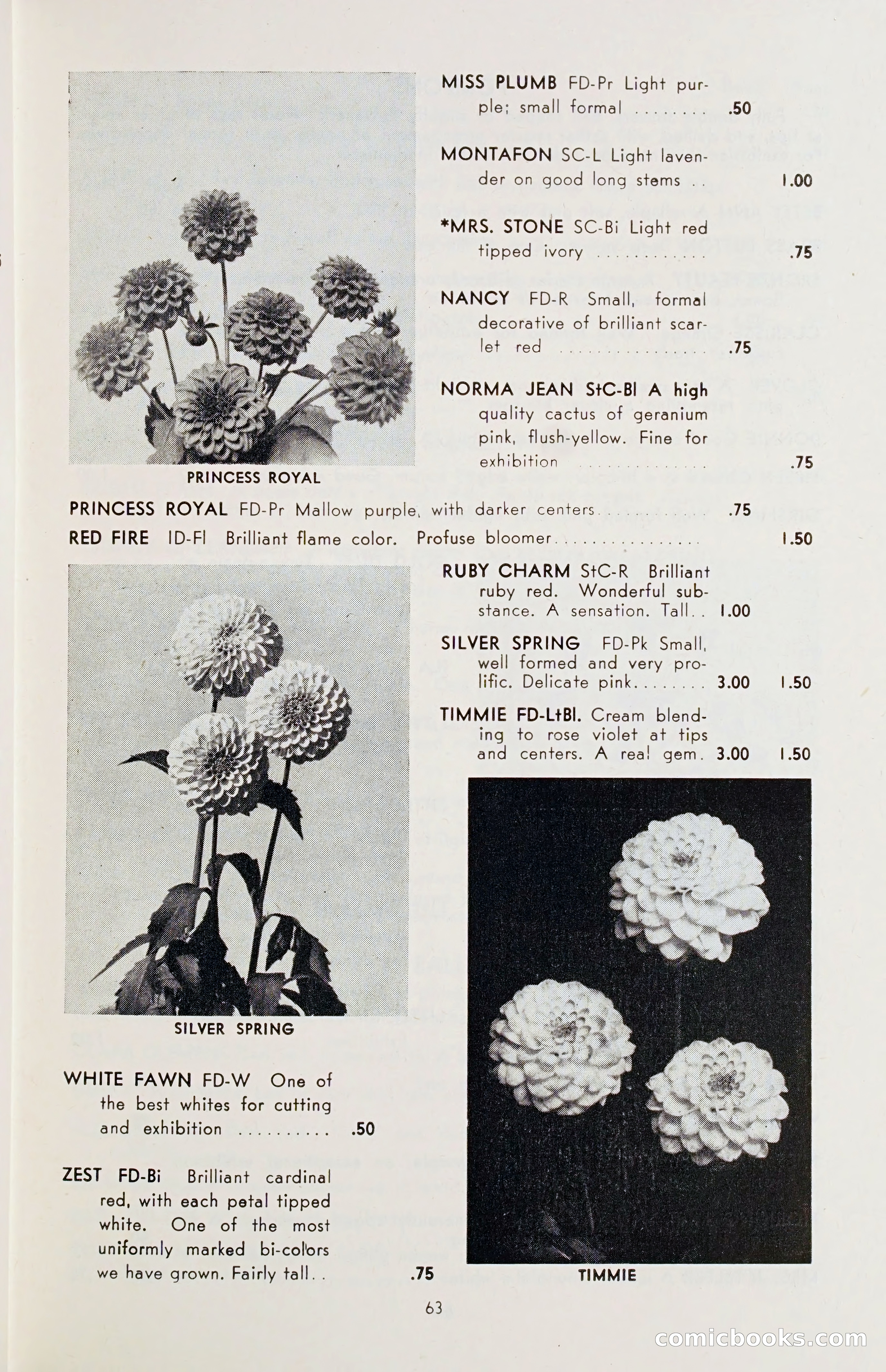 The Dahlia Blue Book for 1955 — page 66 of 79