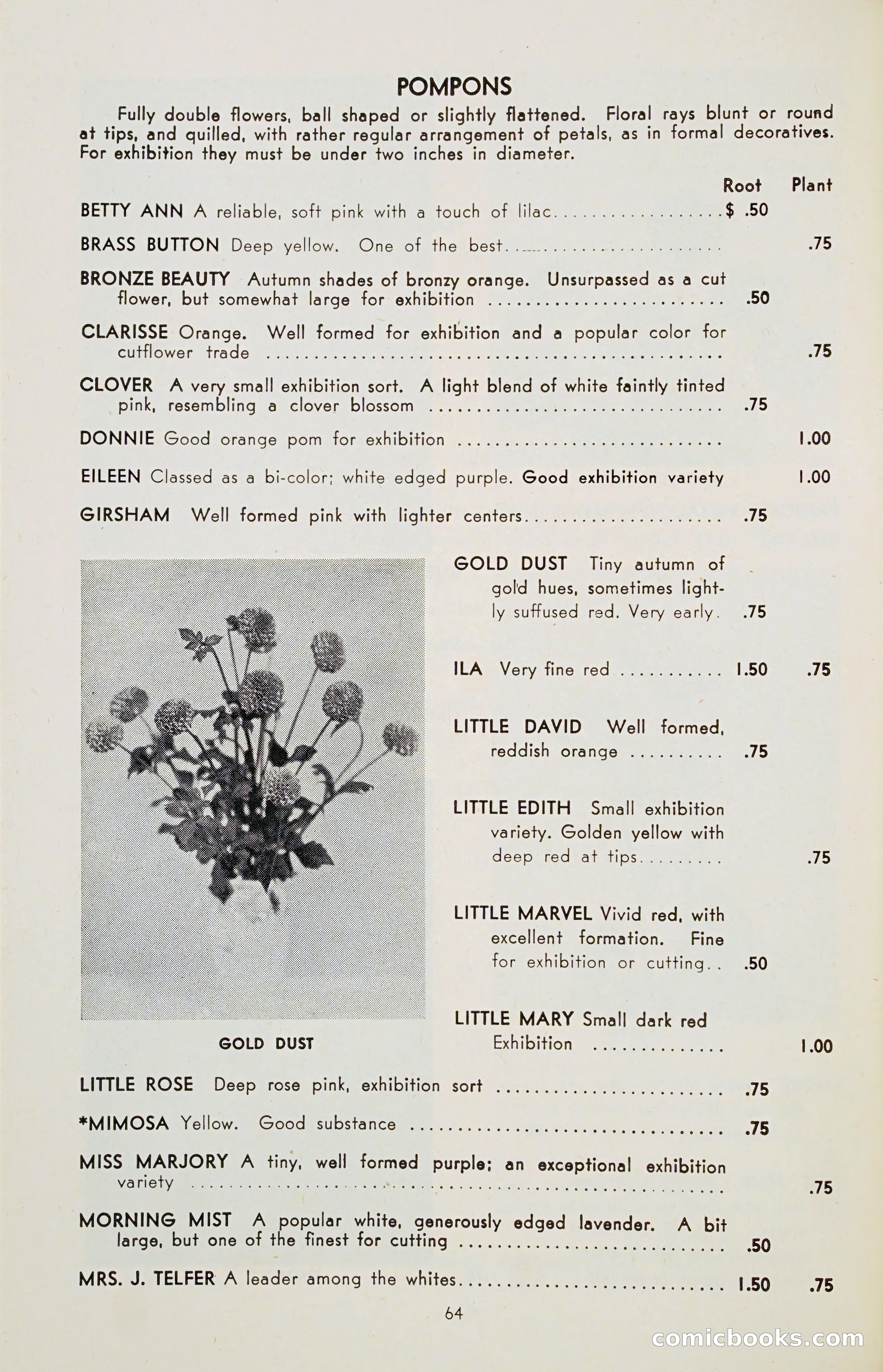 The Dahlia Blue Book for 1955 — page 67 of 79