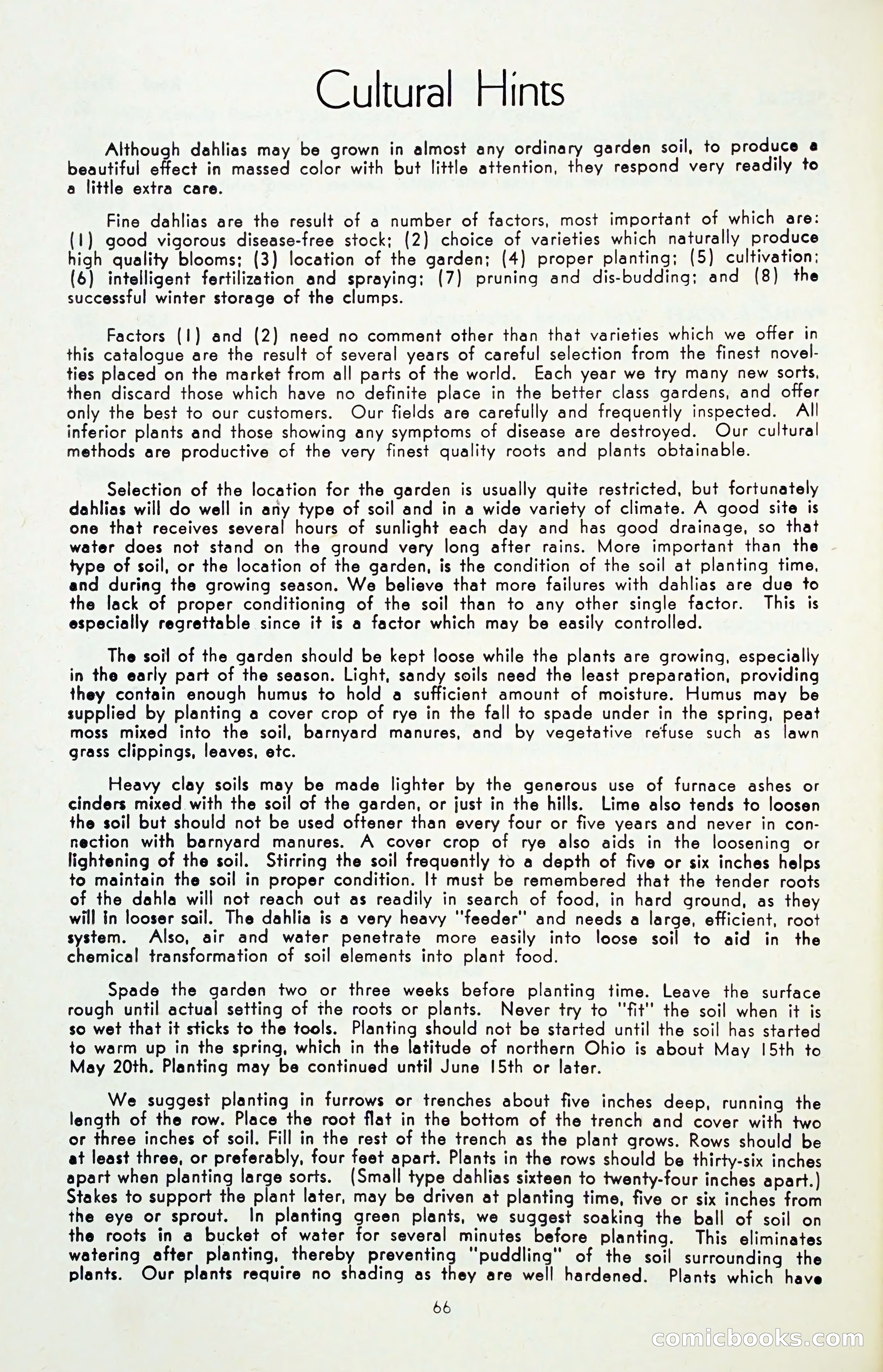 The Dahlia Blue Book for 1955 — page 69 of 79