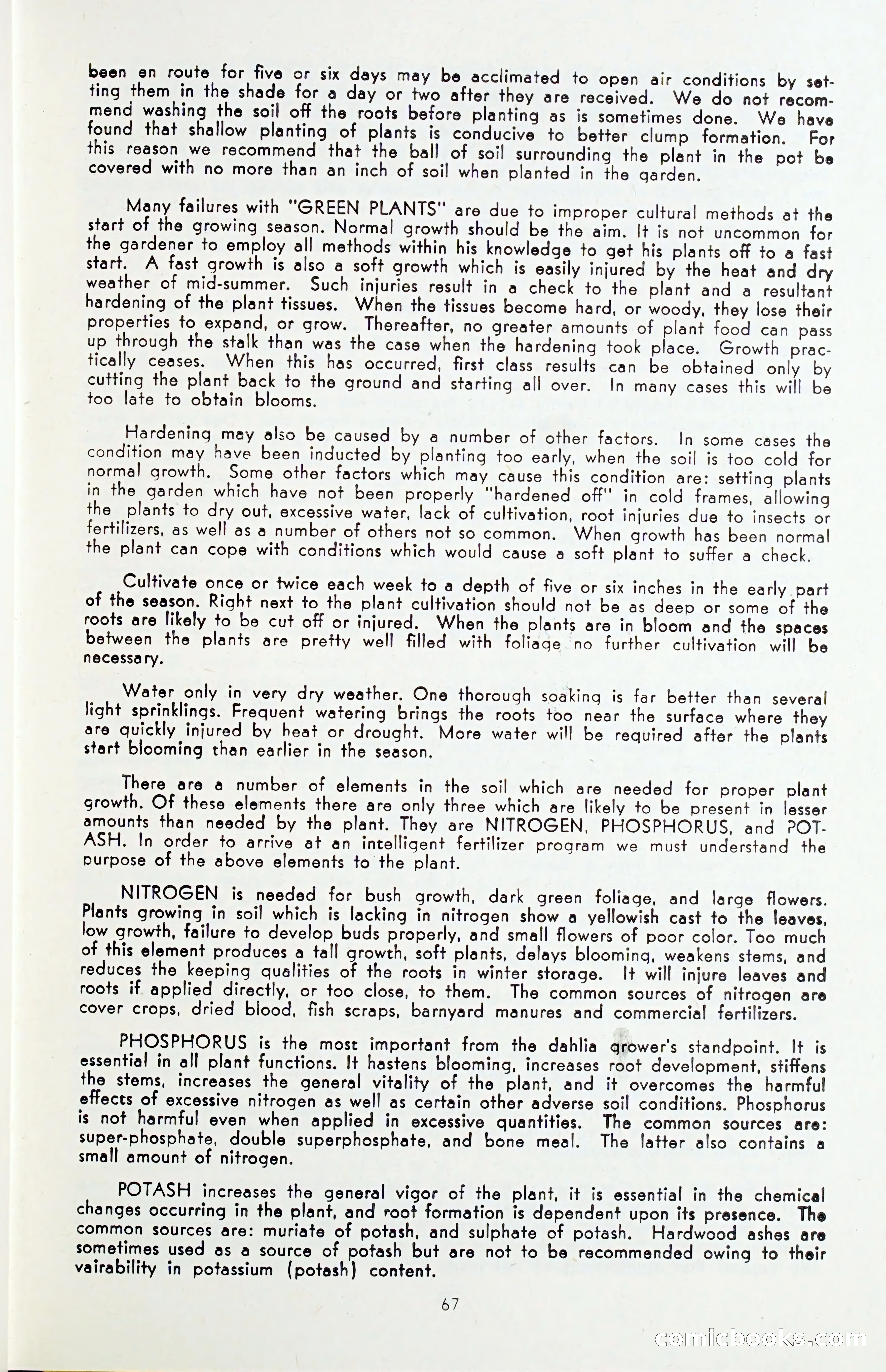 The Dahlia Blue Book for 1955 — page 70 of 79