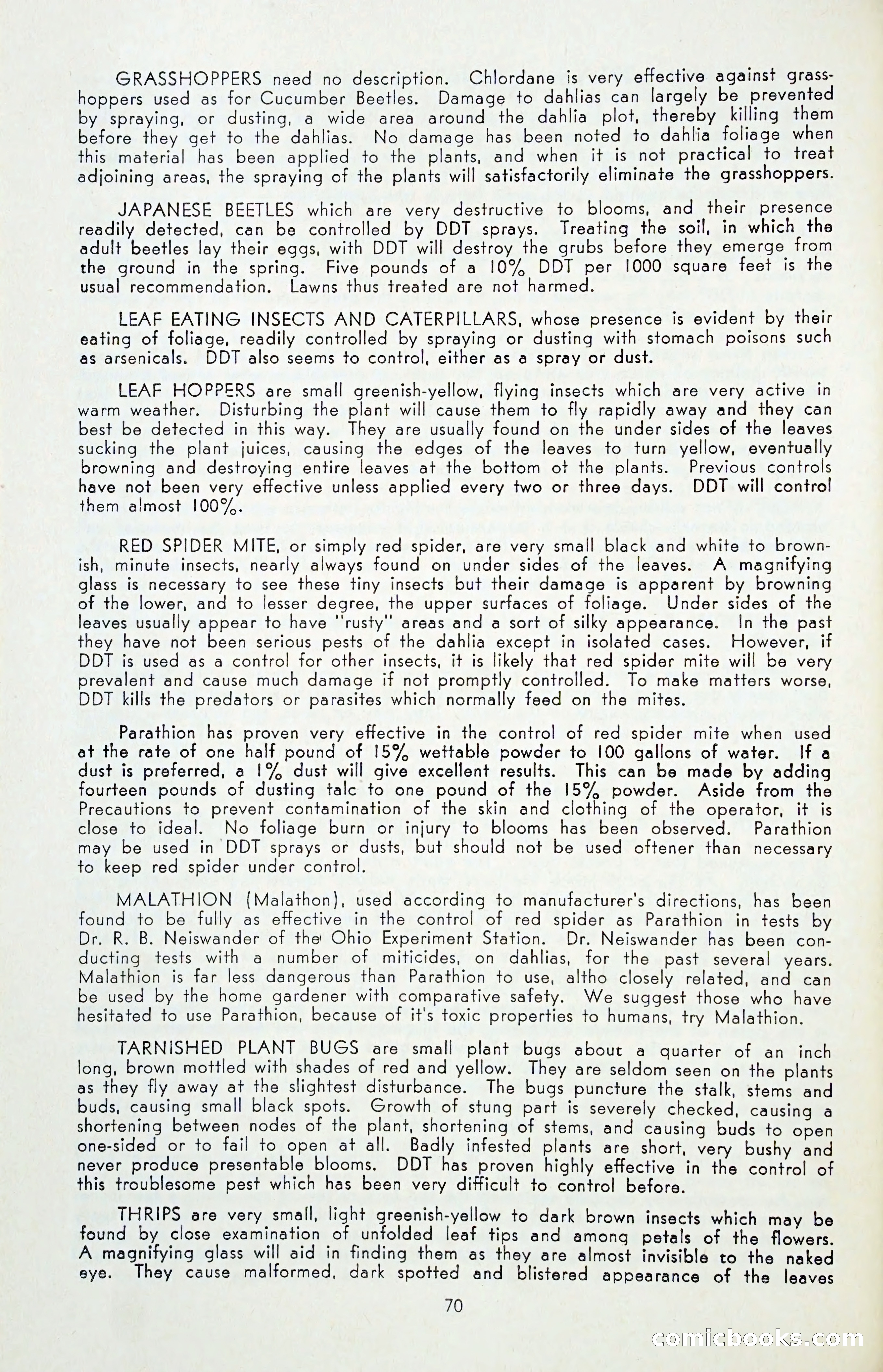 The Dahlia Blue Book for 1955 — page 73 of 79