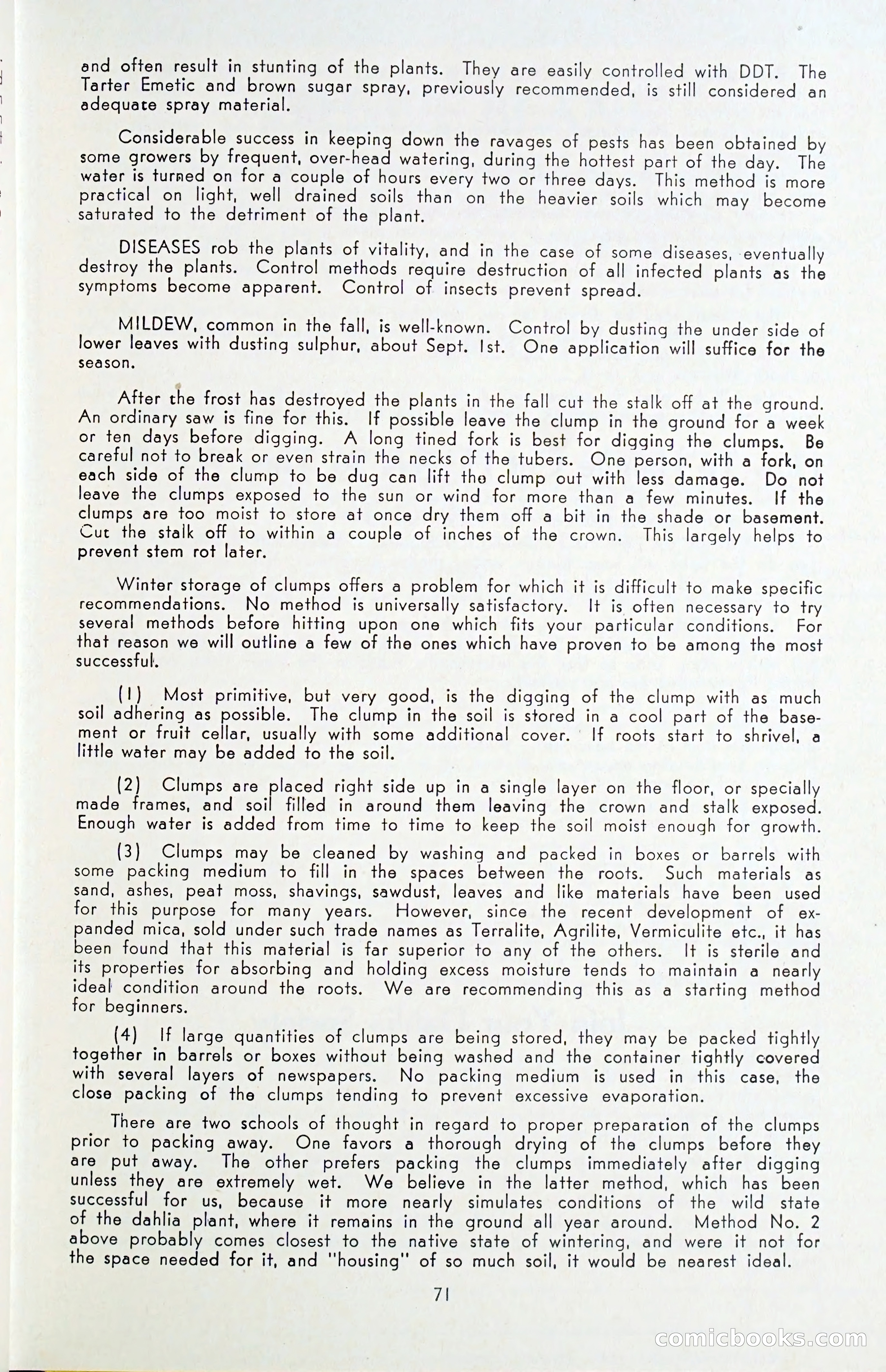 The Dahlia Blue Book for 1955 — page 74 of 79