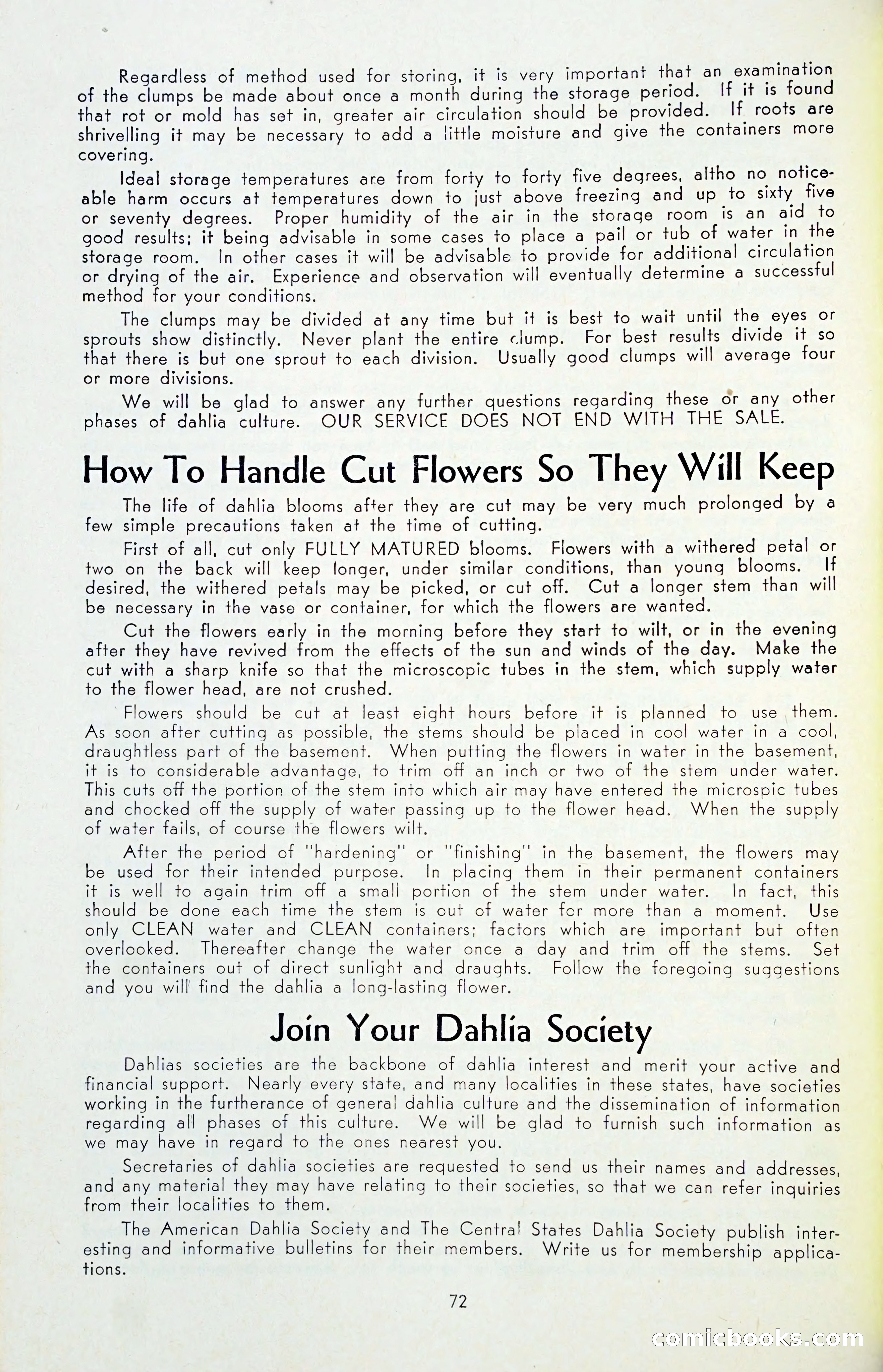 The Dahlia Blue Book for 1955 — page 75 of 79