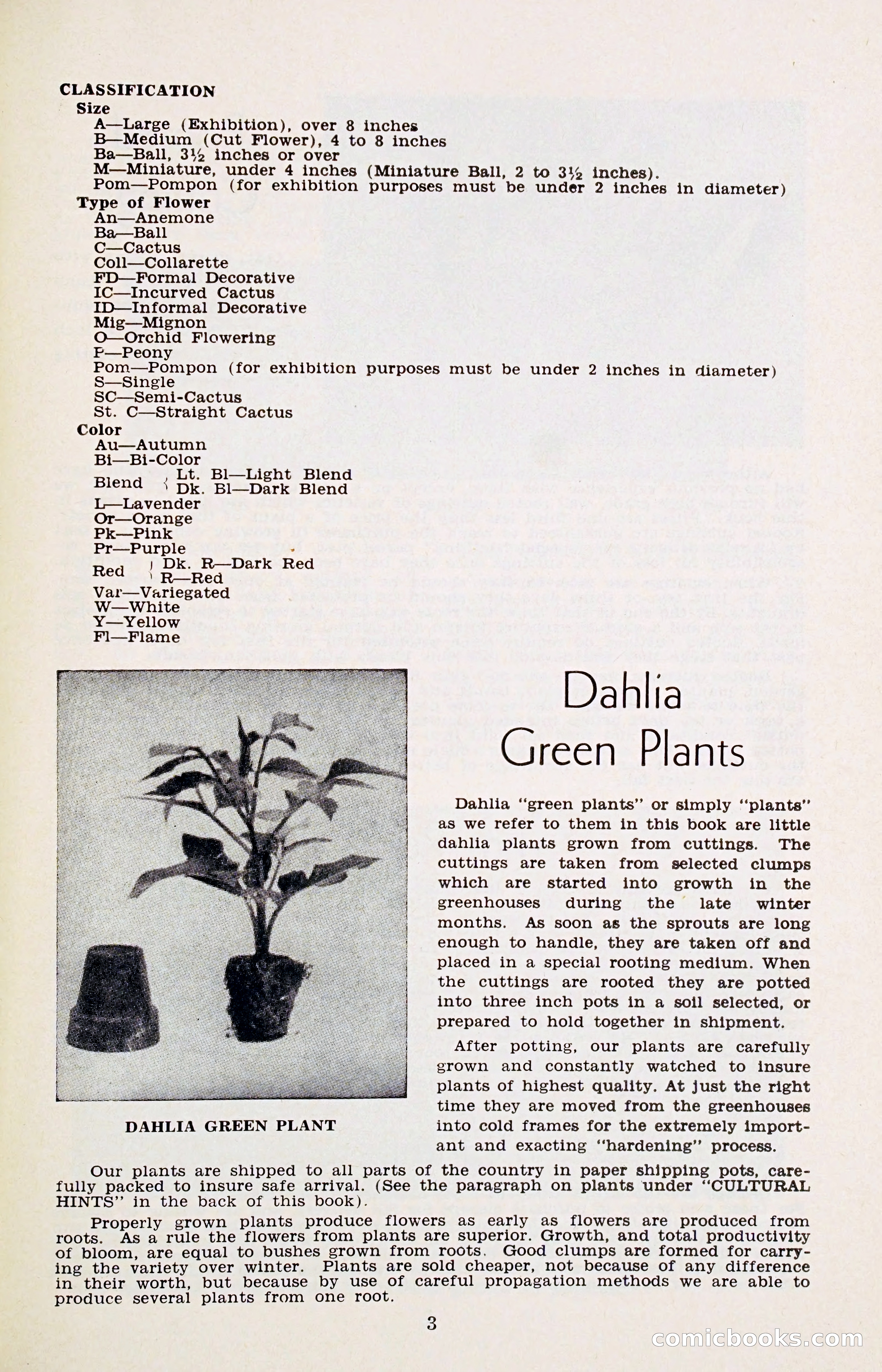 The Dahlia Blue Book for 1956 — page 6 of 69