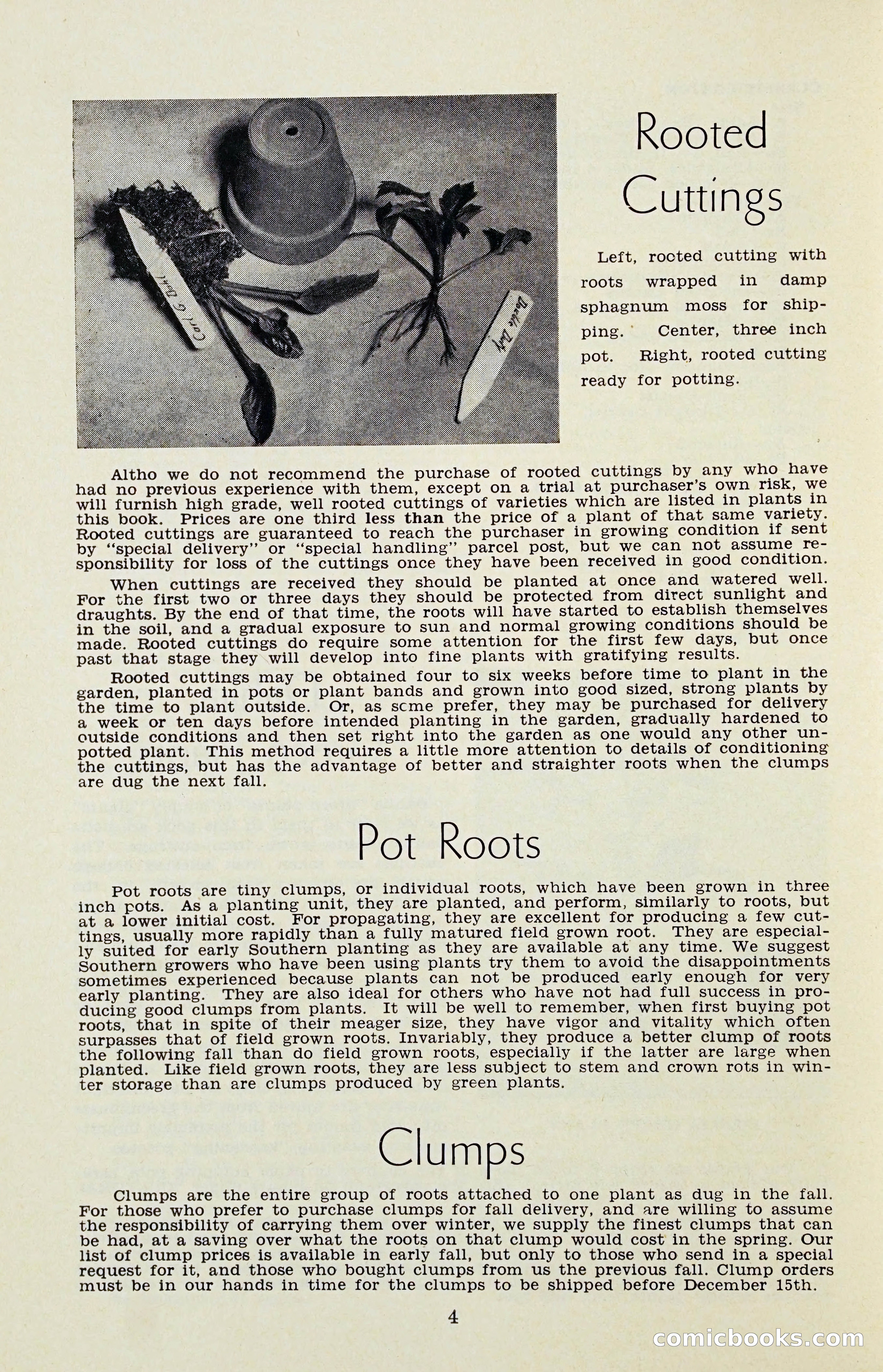 The Dahlia Blue Book for 1956 — page 7 of 69