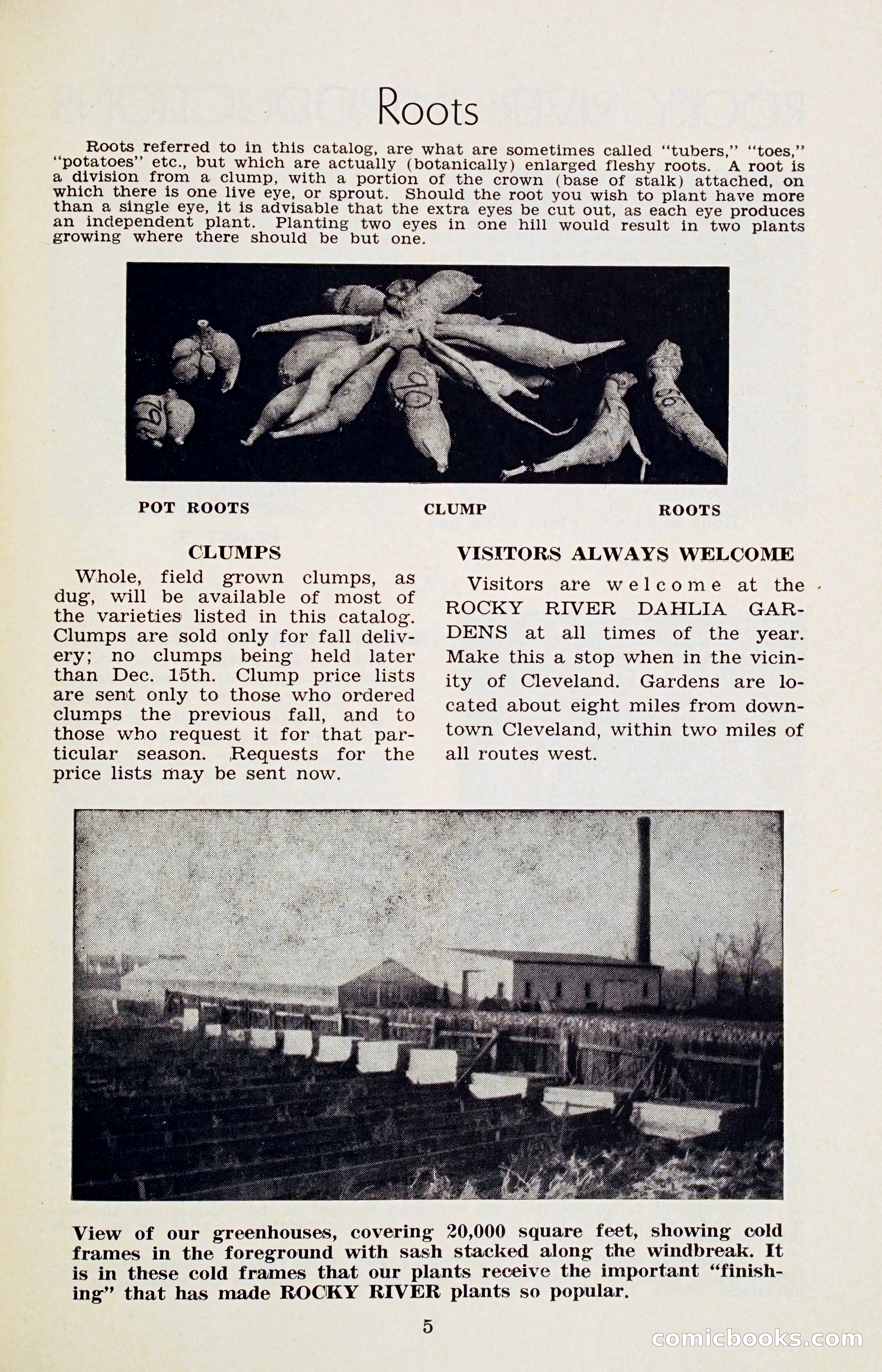 The Dahlia Blue Book for 1956 — page 8 of 69