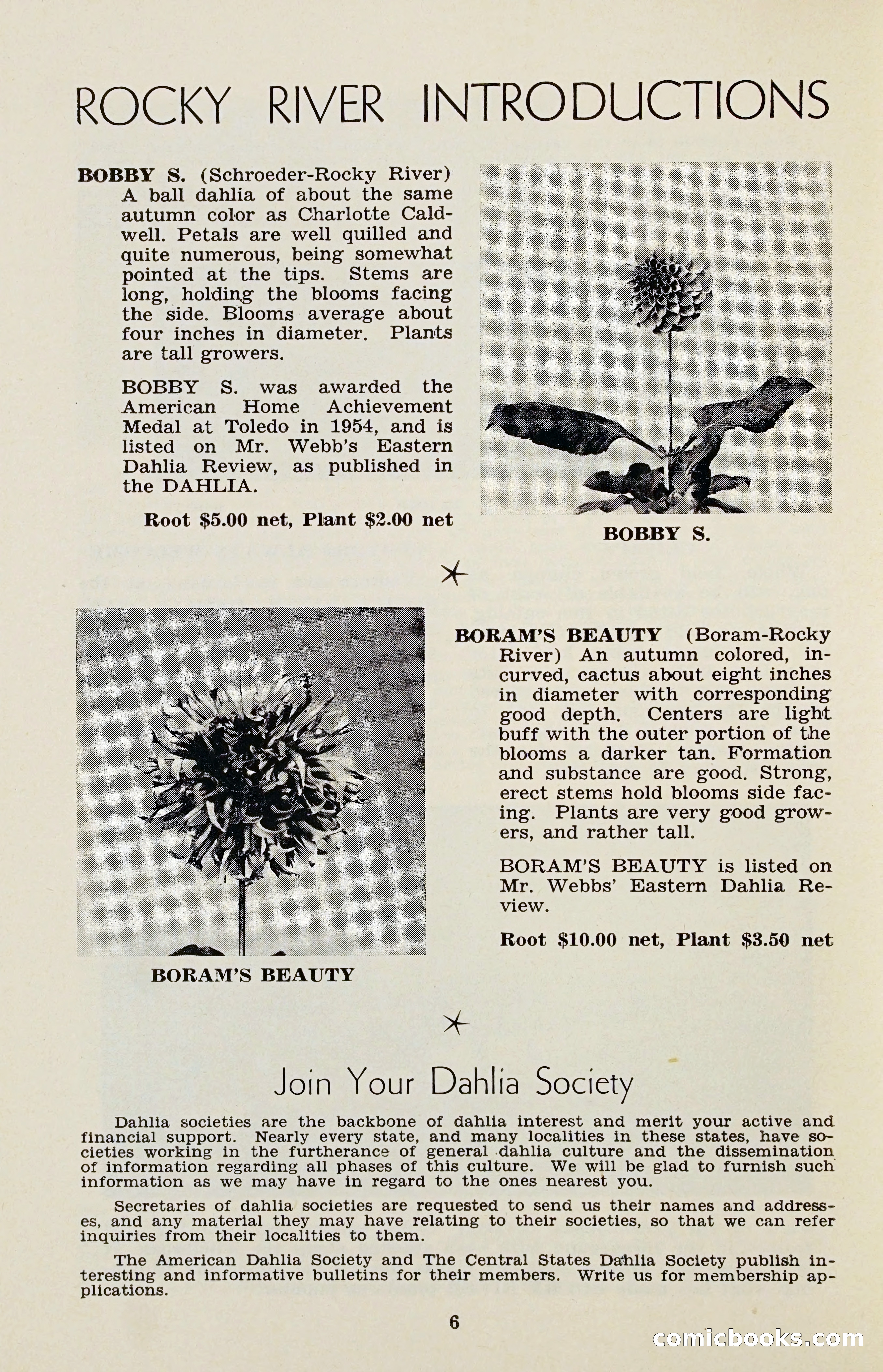 The Dahlia Blue Book for 1956 — page 9 of 69
