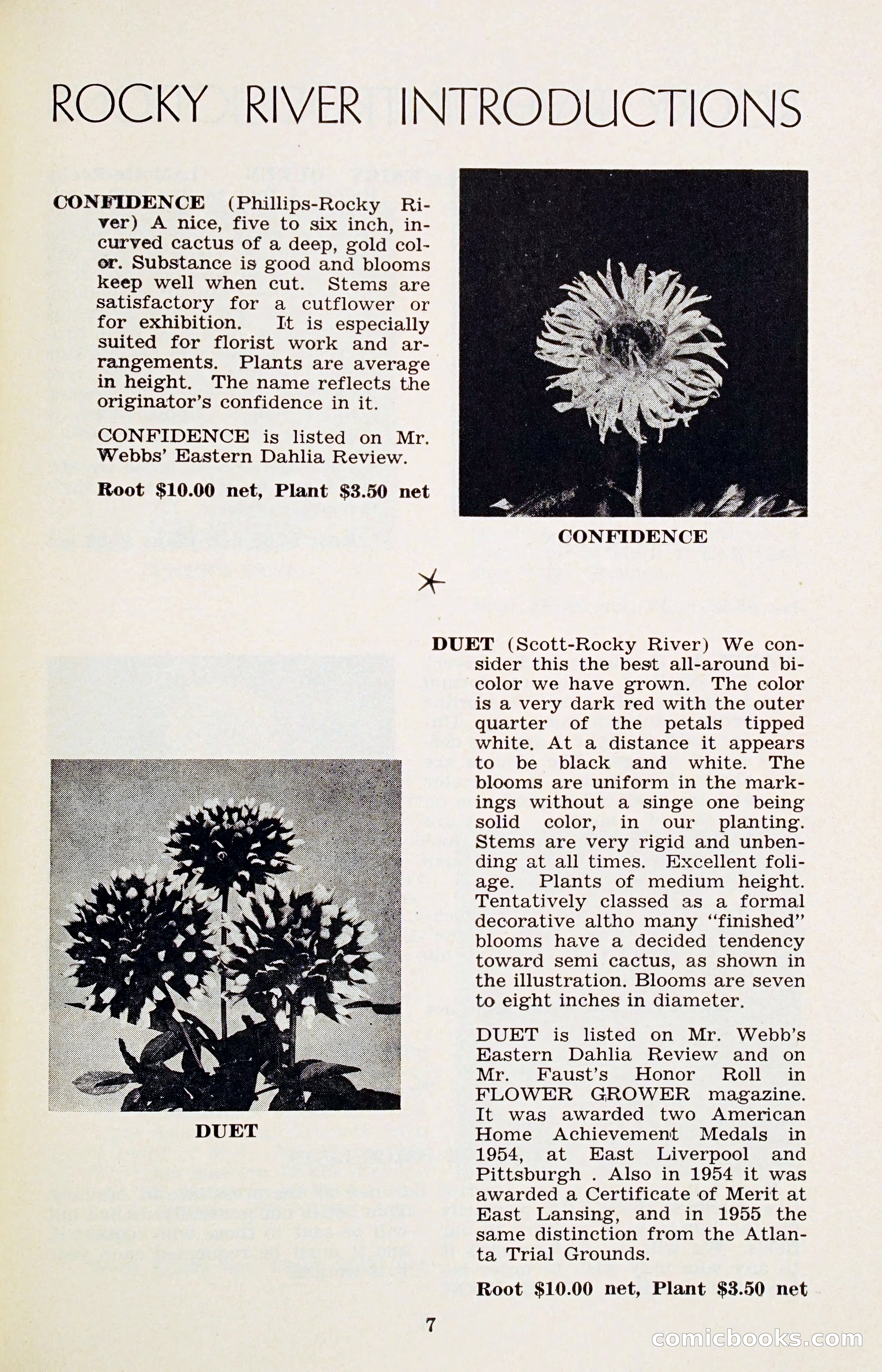 The Dahlia Blue Book for 1956 — page 10 of 69