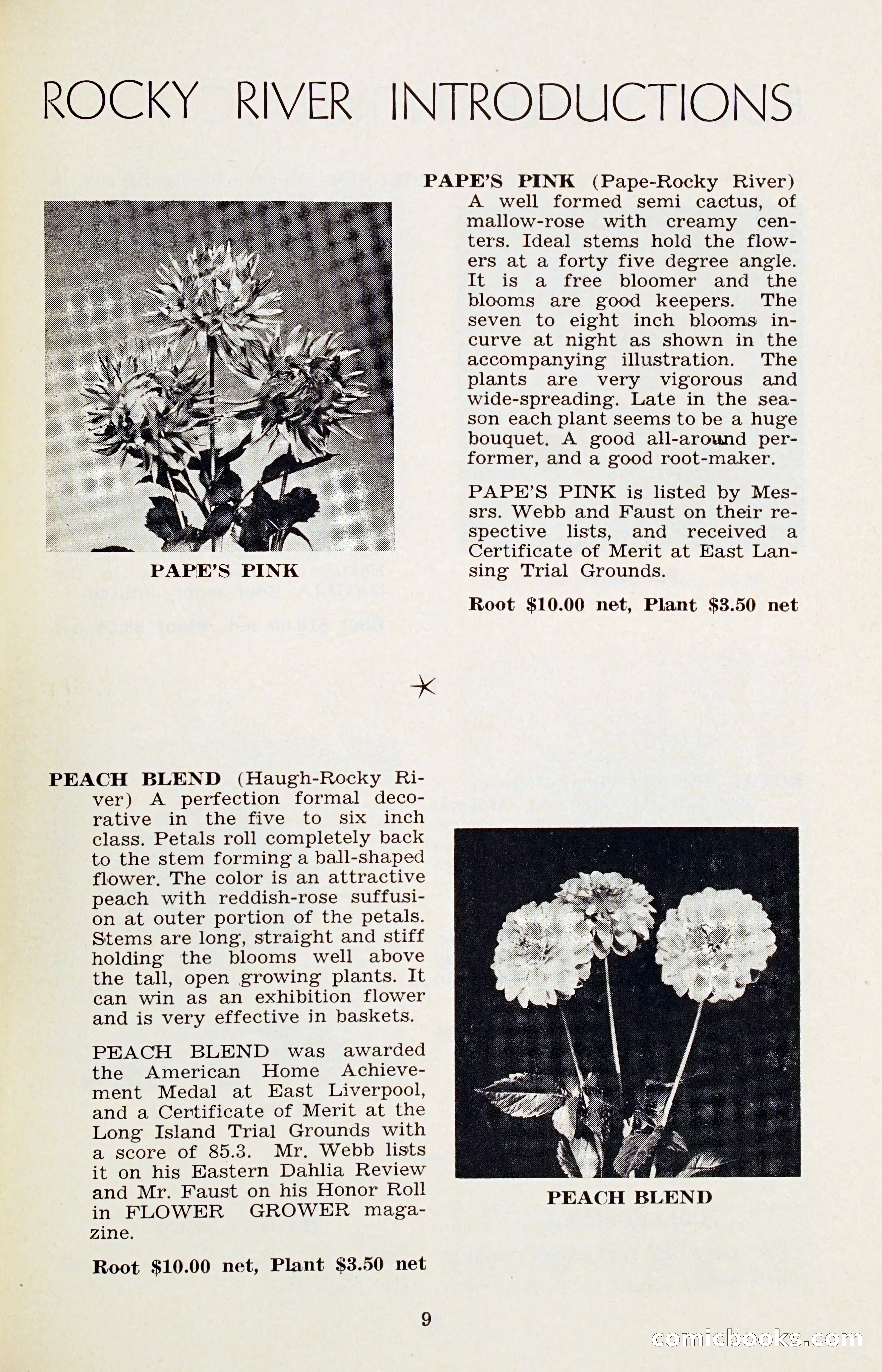 The Dahlia Blue Book for 1956 — page 12 of 69