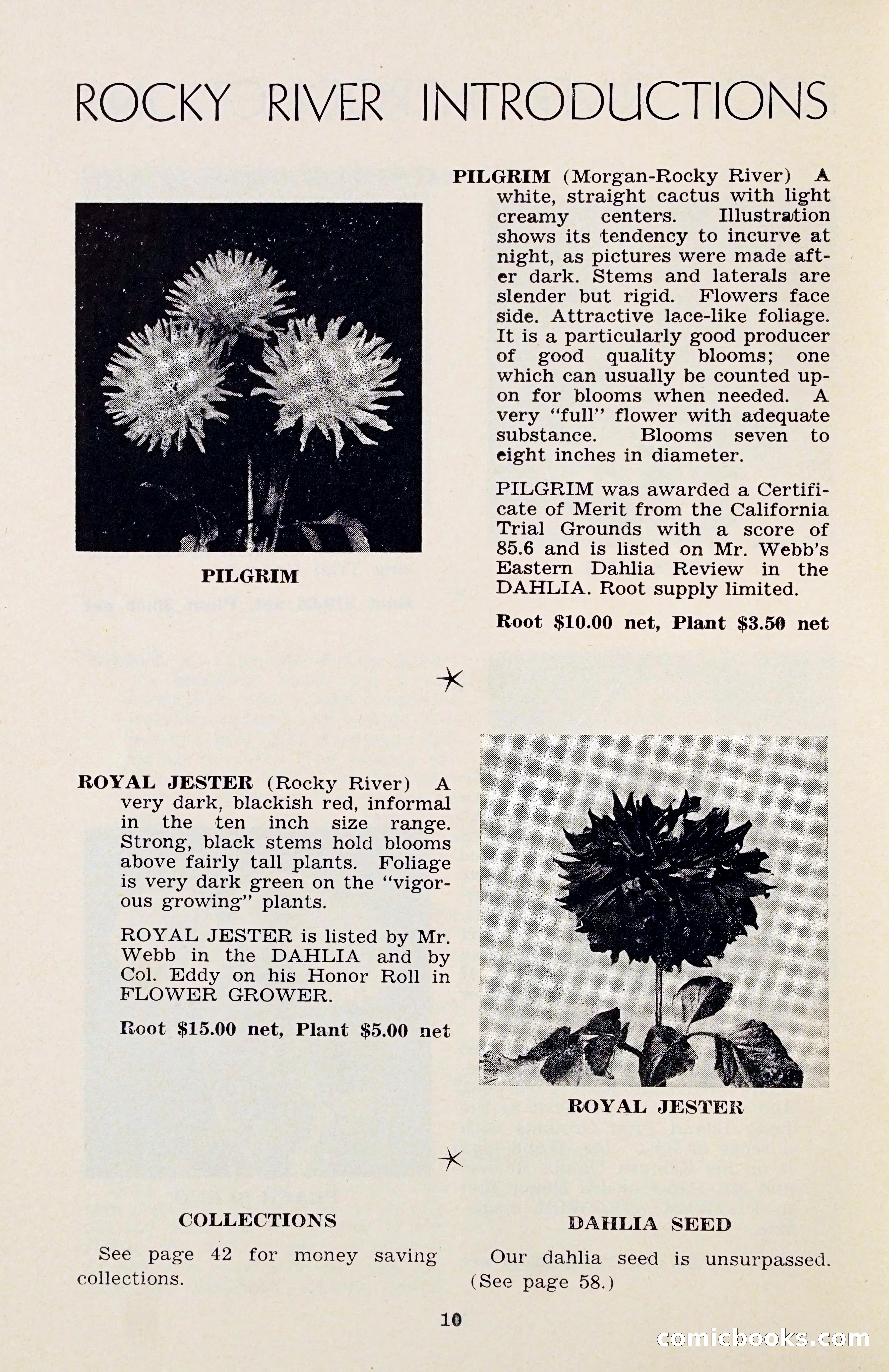The Dahlia Blue Book for 1956 — page 13 of 69