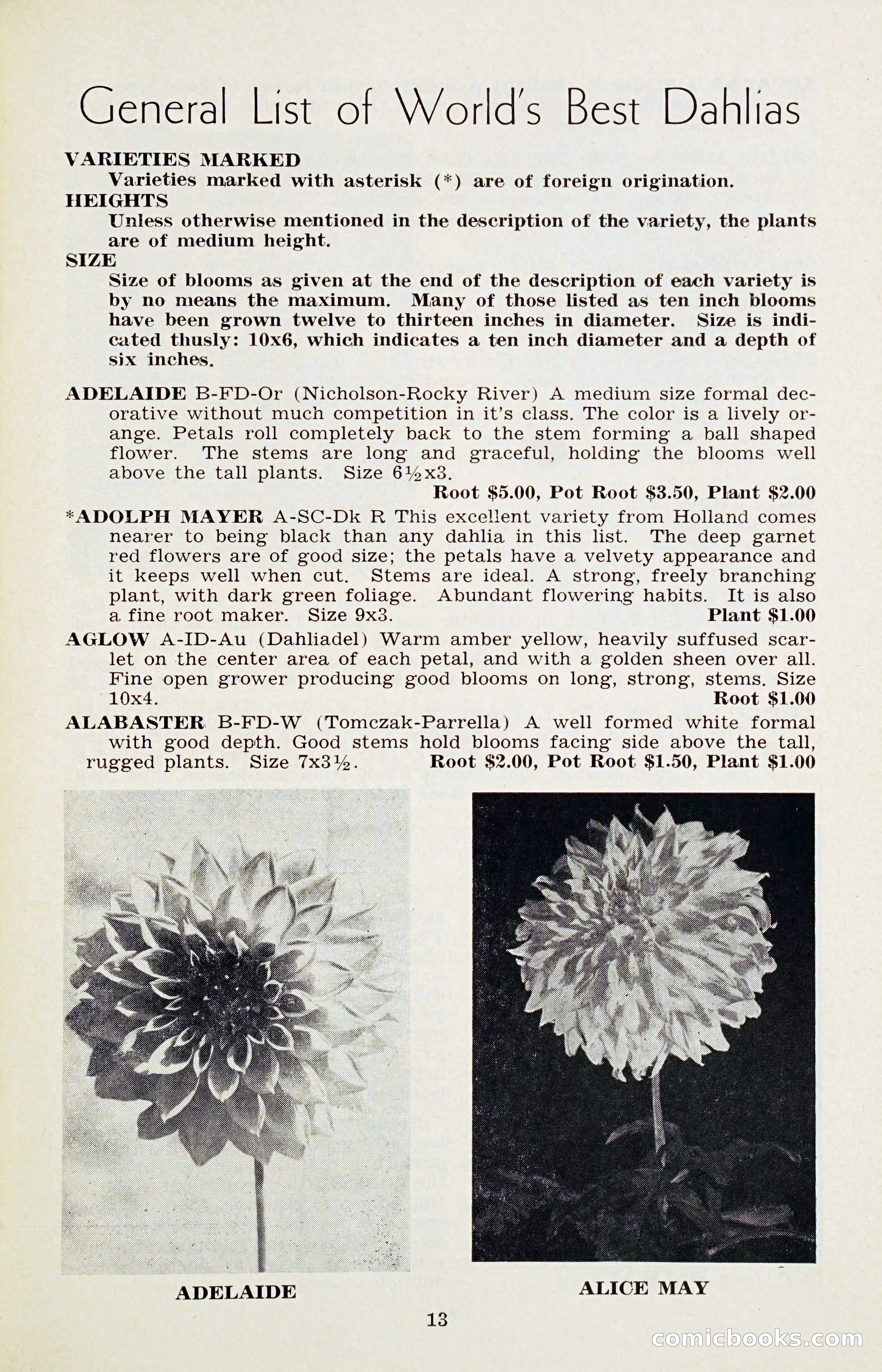 The Dahlia Blue Book for 1956 — page 16 of 69