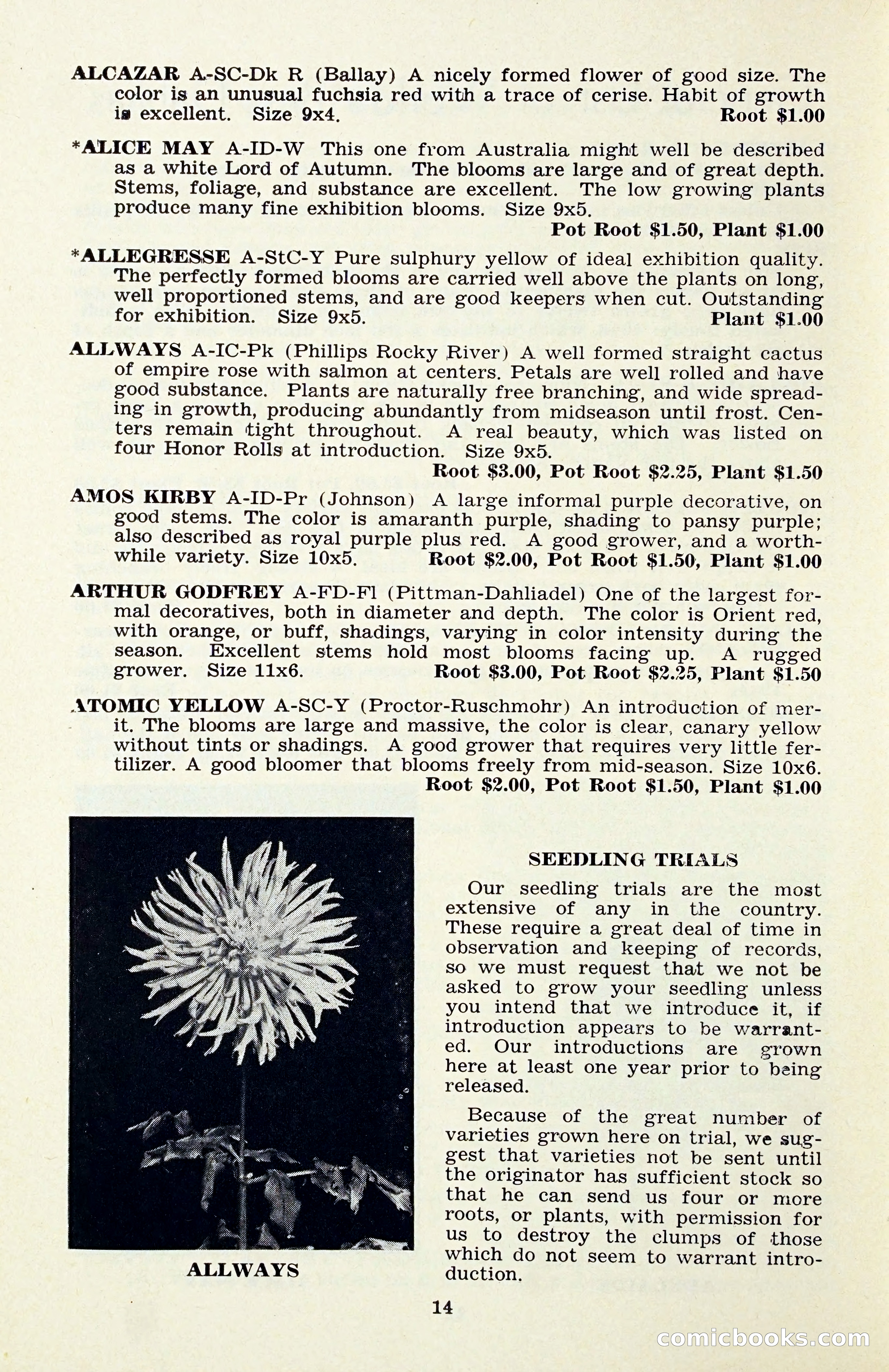 The Dahlia Blue Book for 1956 — page 17 of 69