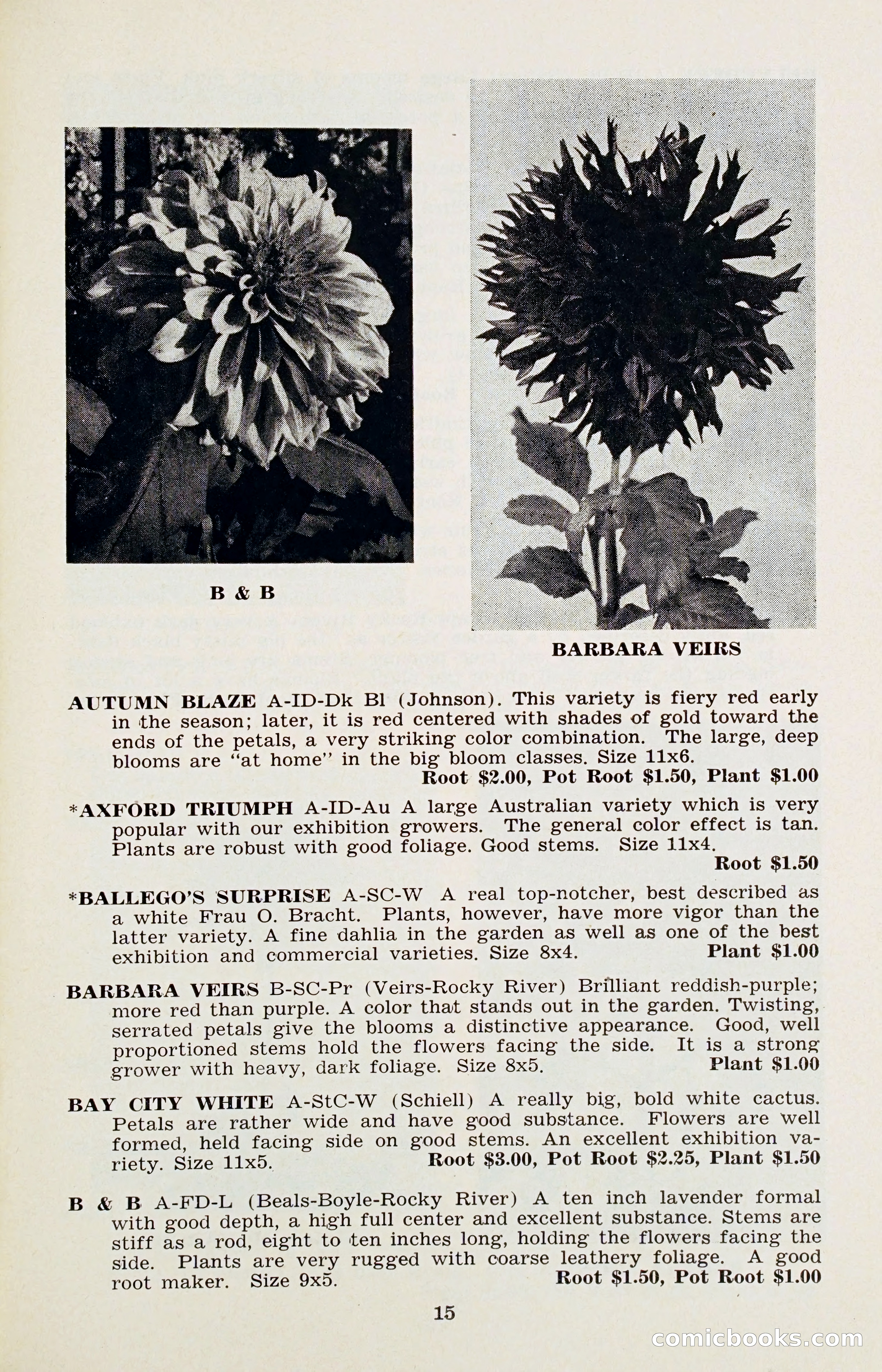 The Dahlia Blue Book for 1956 — page 18 of 69