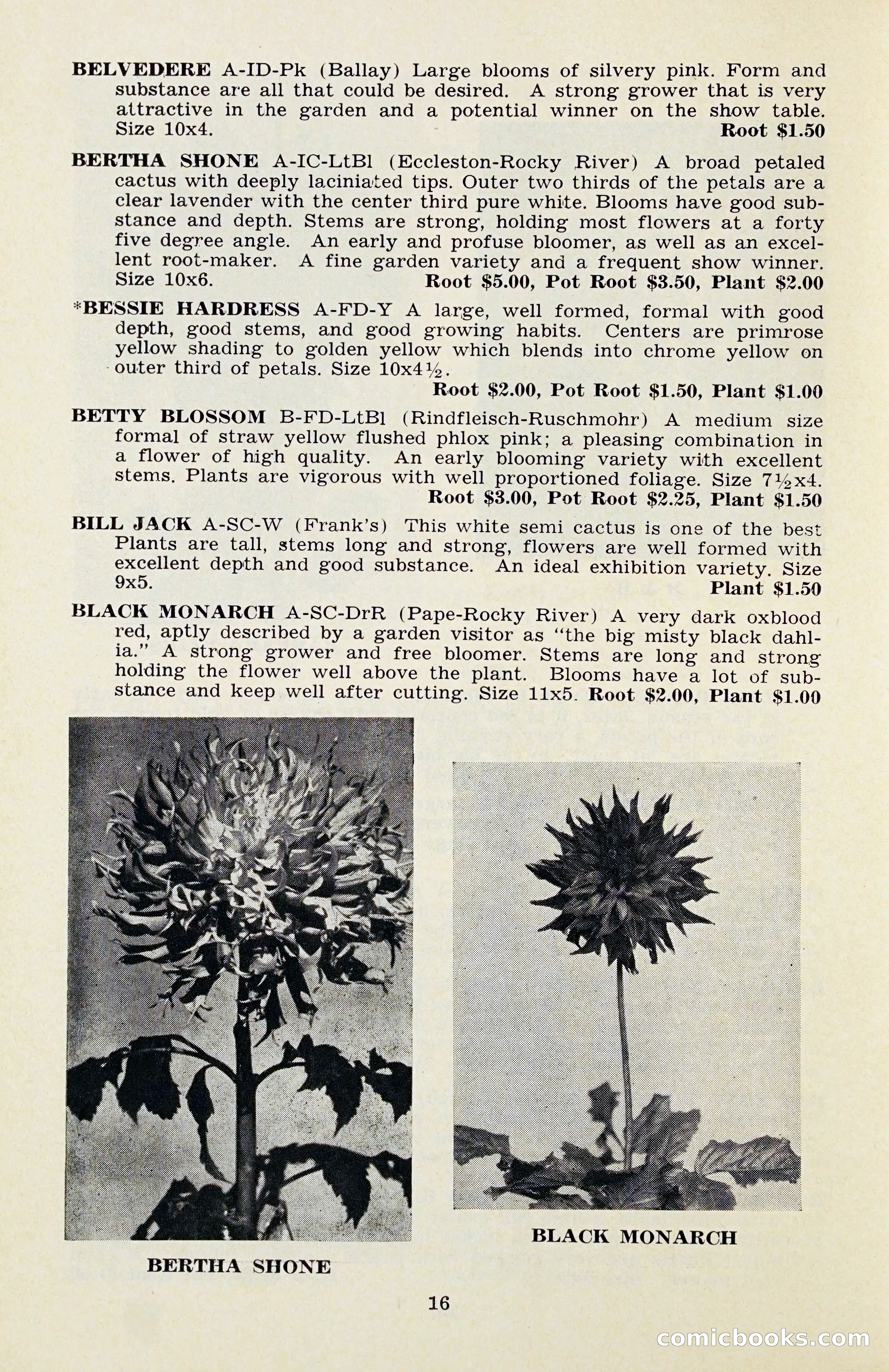 The Dahlia Blue Book for 1956 — page 19 of 69