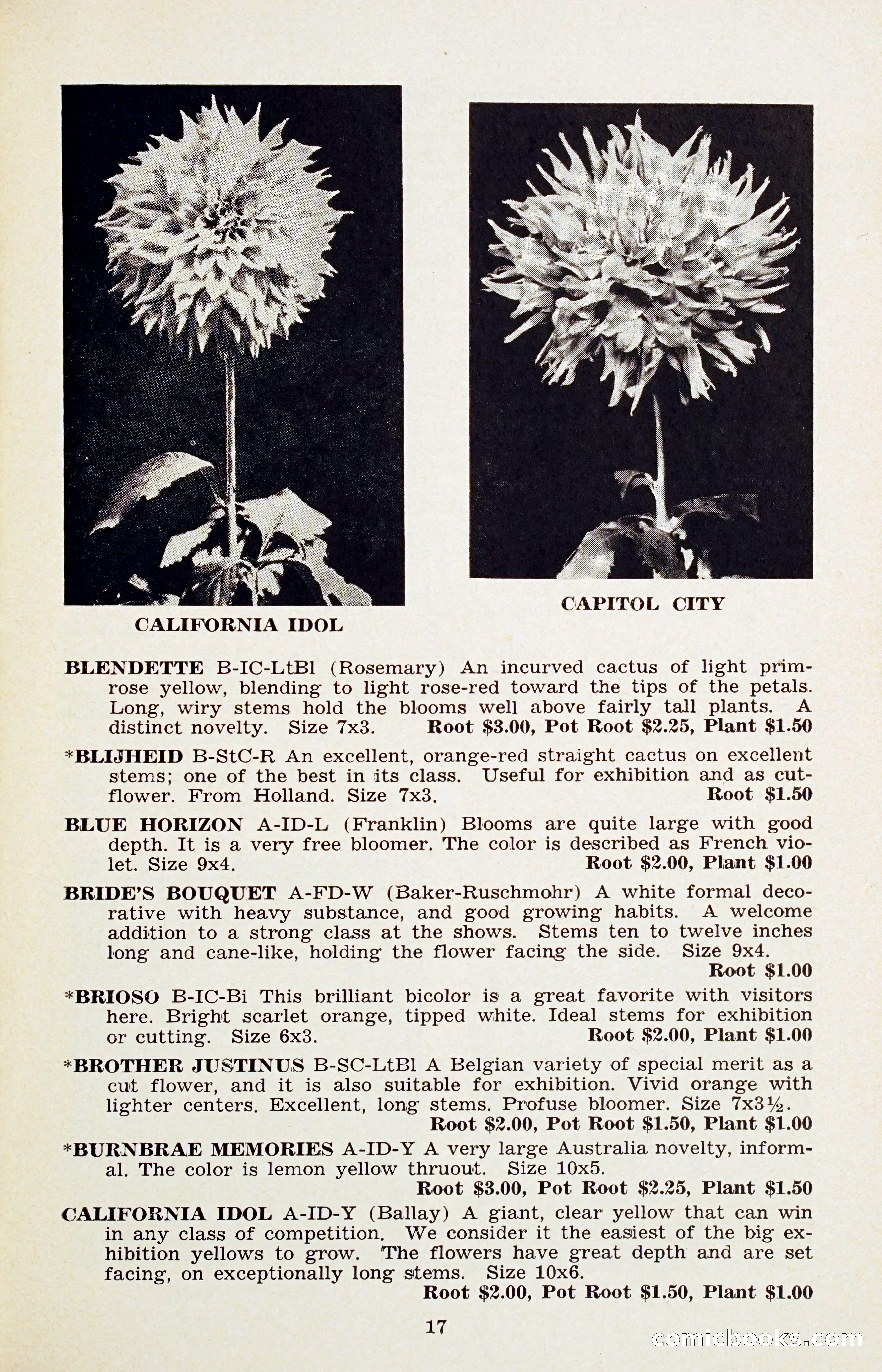 The Dahlia Blue Book for 1956 — page 20 of 69