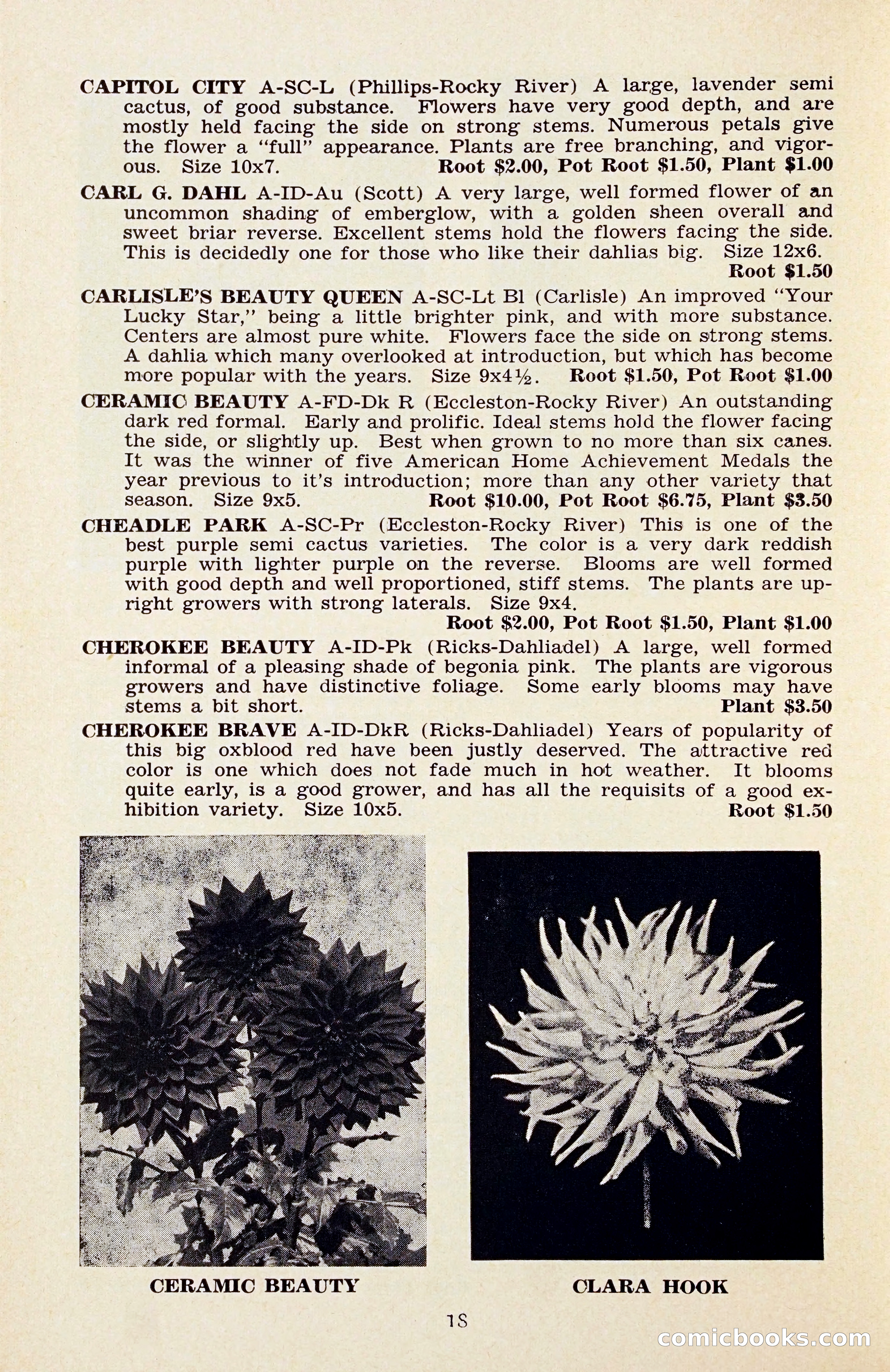 The Dahlia Blue Book for 1956 — page 21 of 69