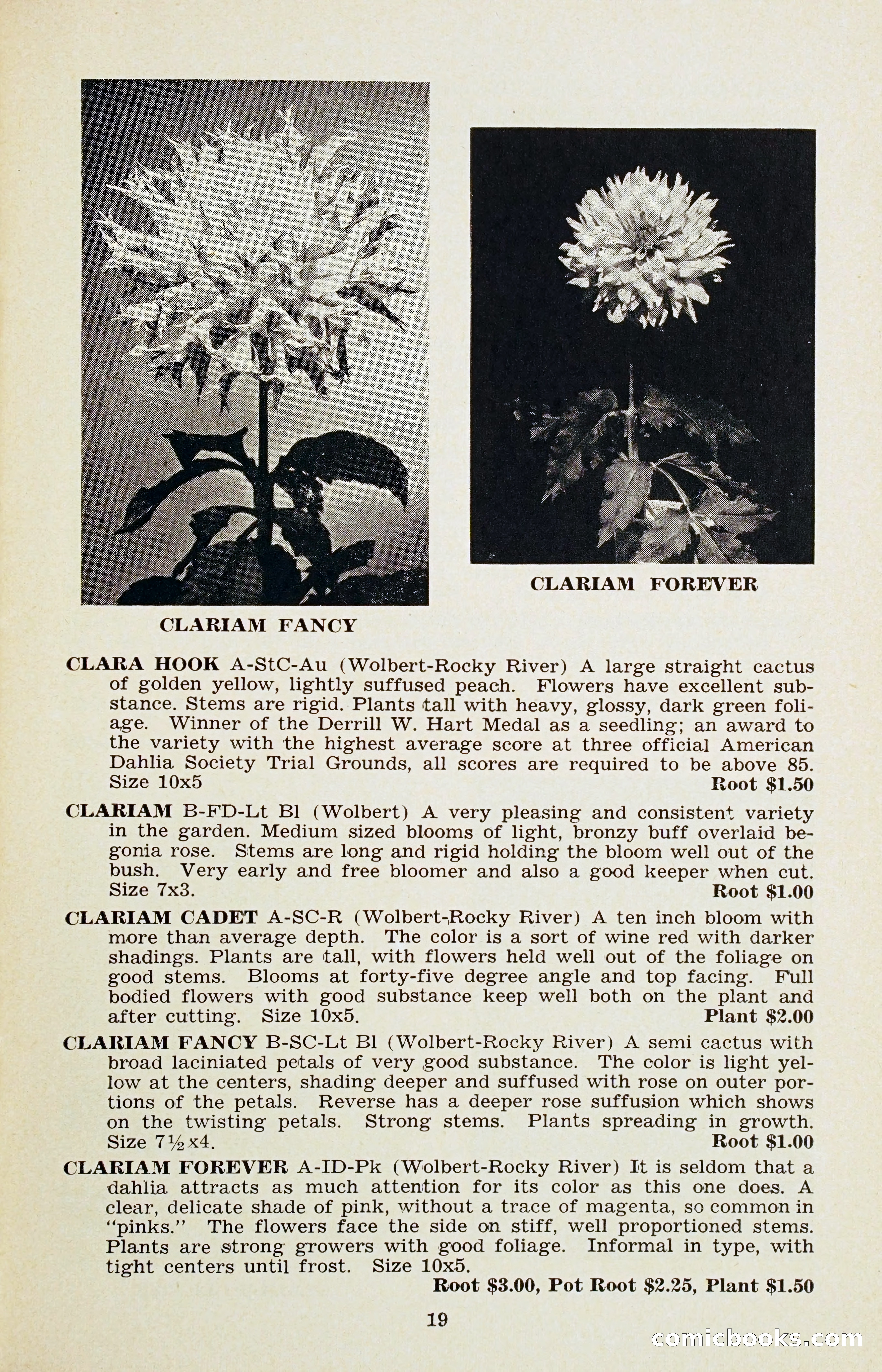 The Dahlia Blue Book for 1956 — page 22 of 69