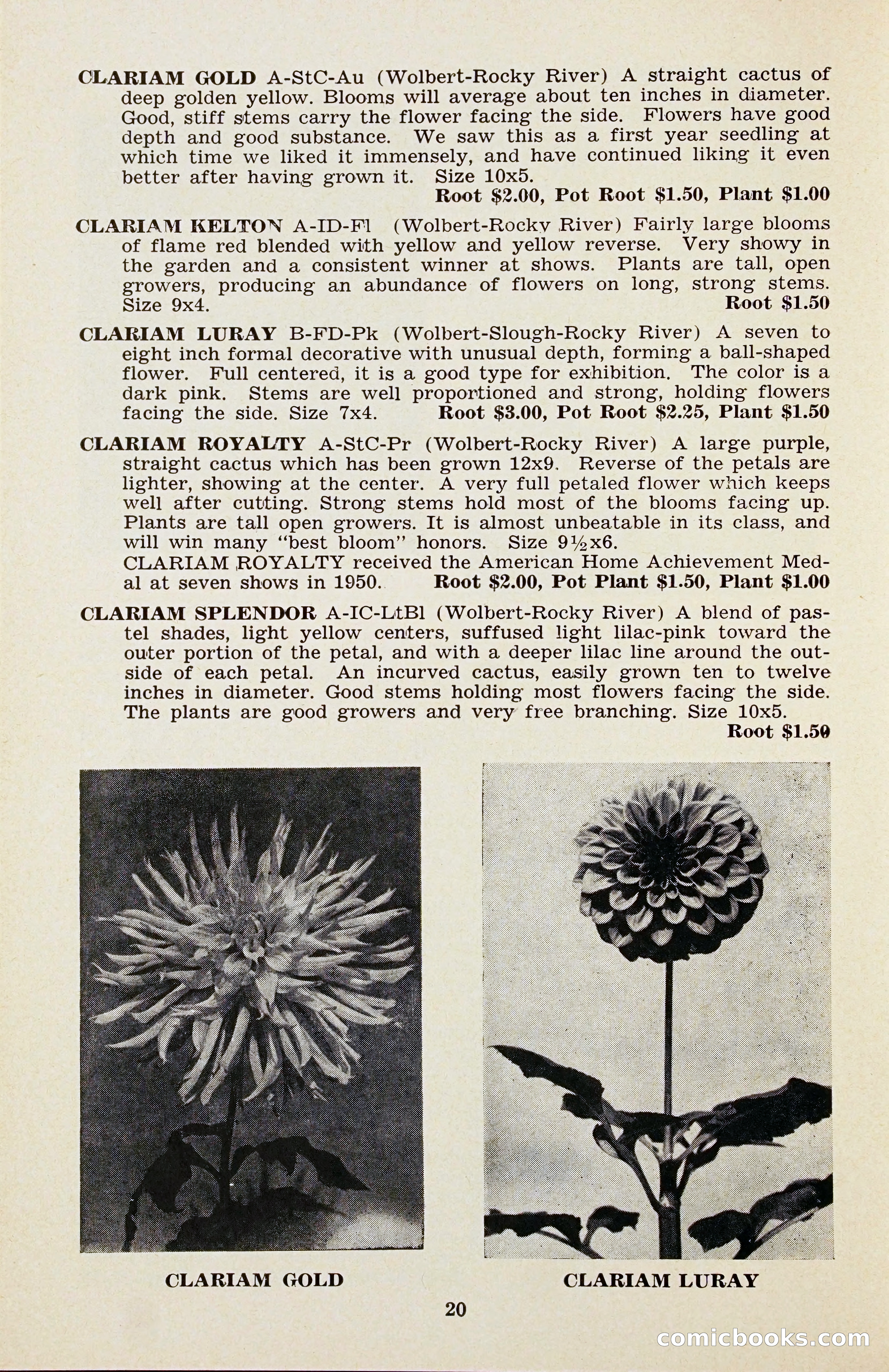 The Dahlia Blue Book for 1956 — page 23 of 69