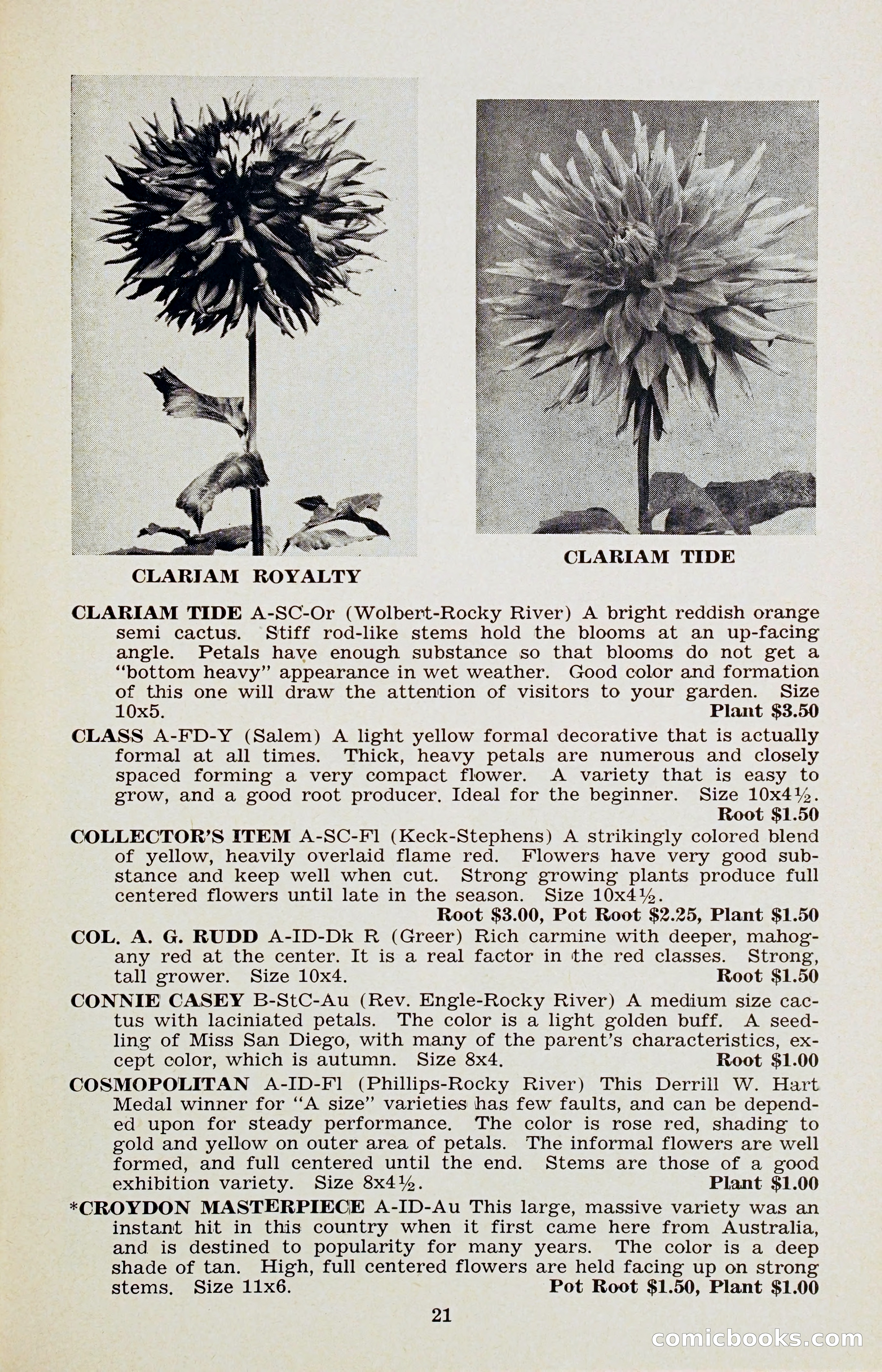 The Dahlia Blue Book for 1956 — page 24 of 69