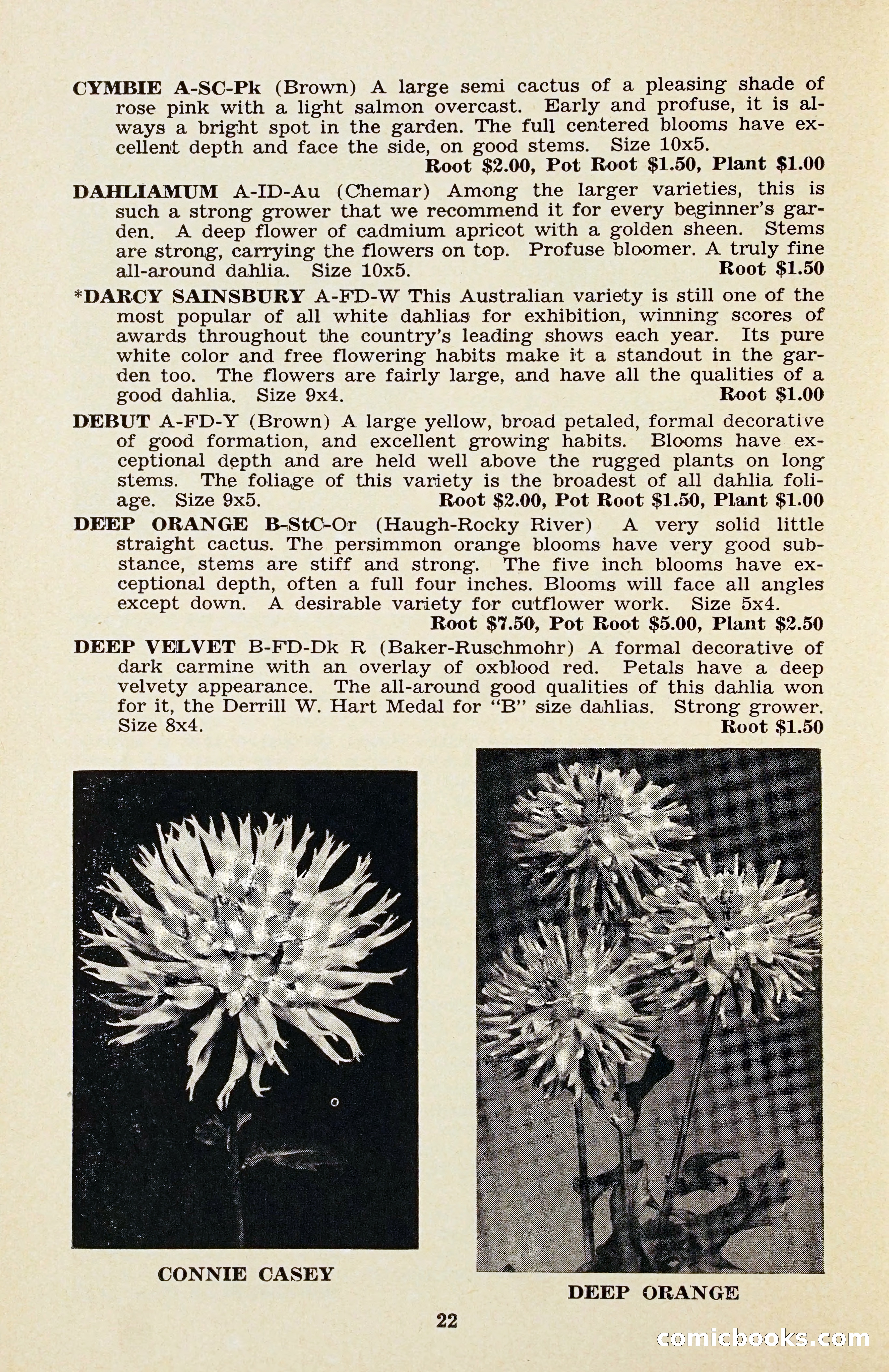 The Dahlia Blue Book for 1956 — page 25 of 69