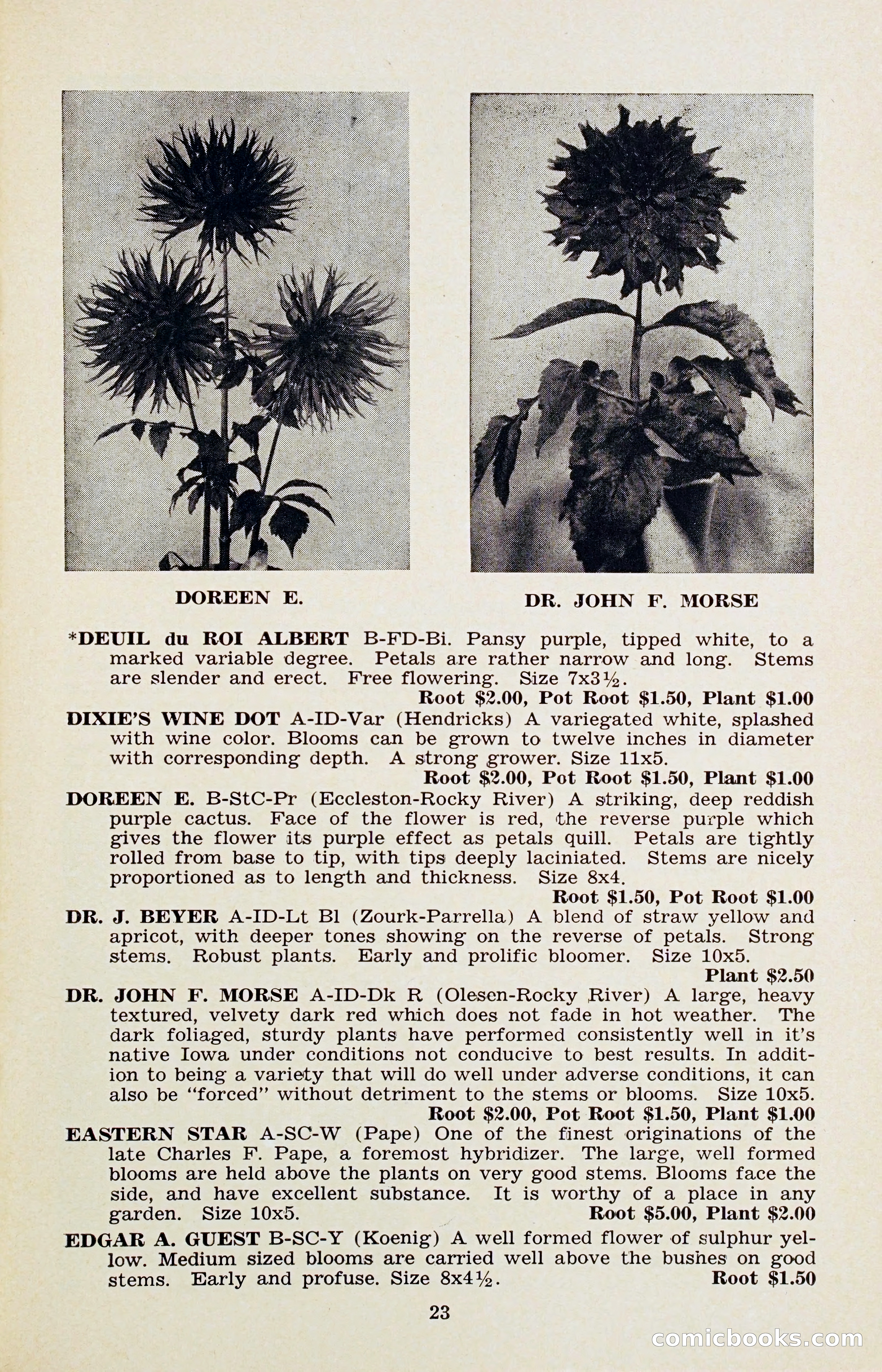 The Dahlia Blue Book for 1956 — page 26 of 69