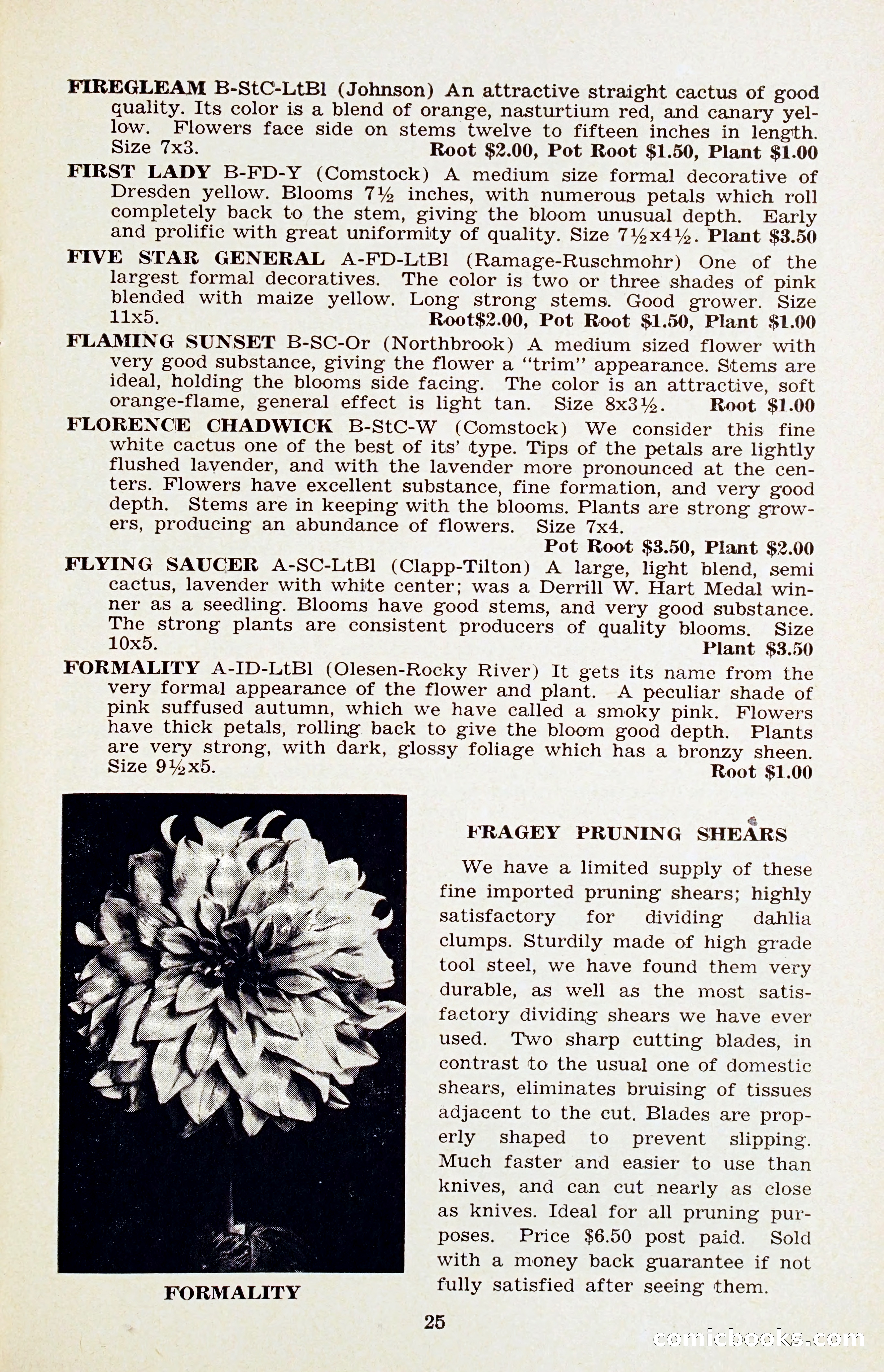 The Dahlia Blue Book for 1956 — page 28 of 69