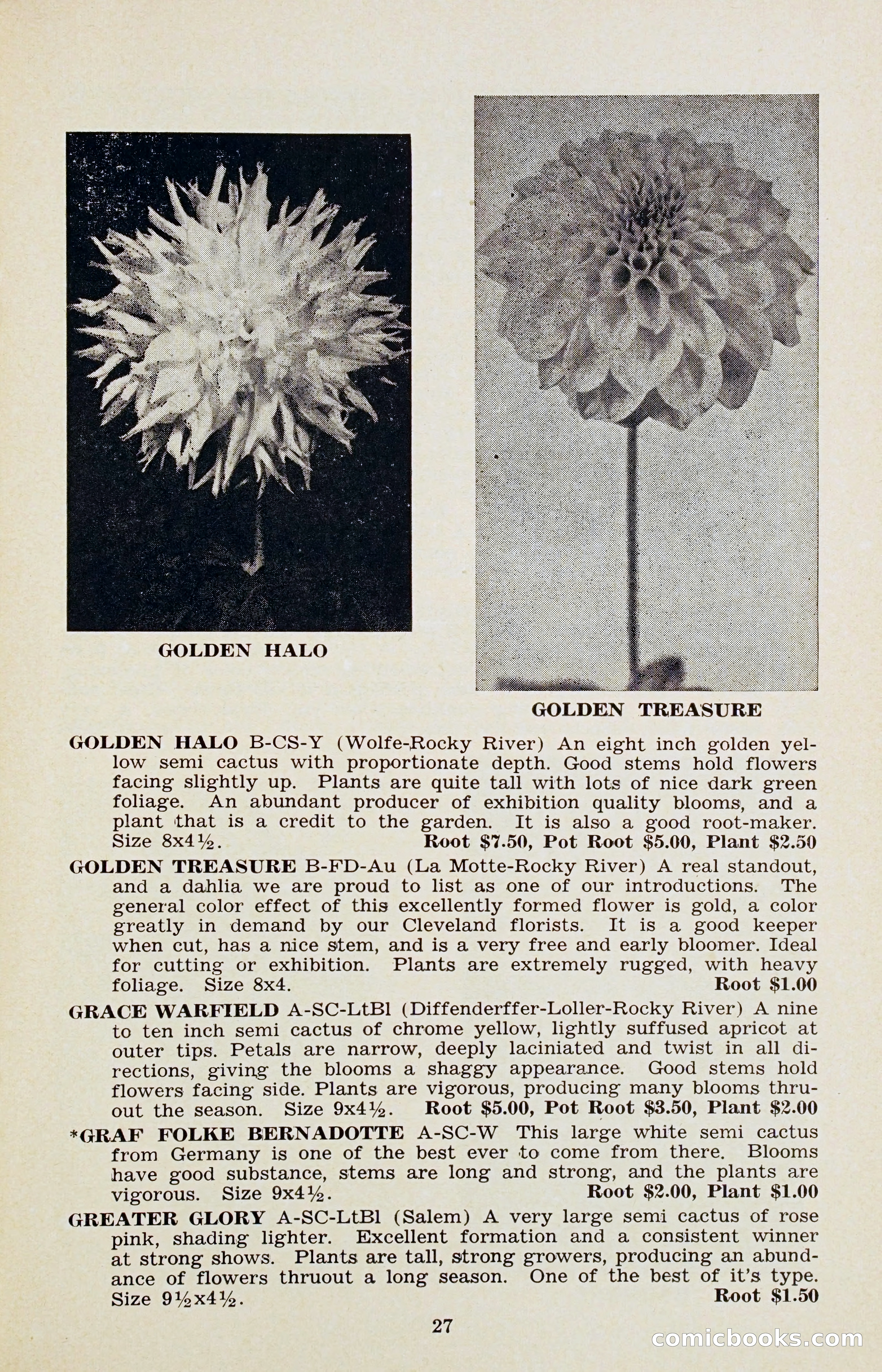 The Dahlia Blue Book for 1956 — page 30 of 69