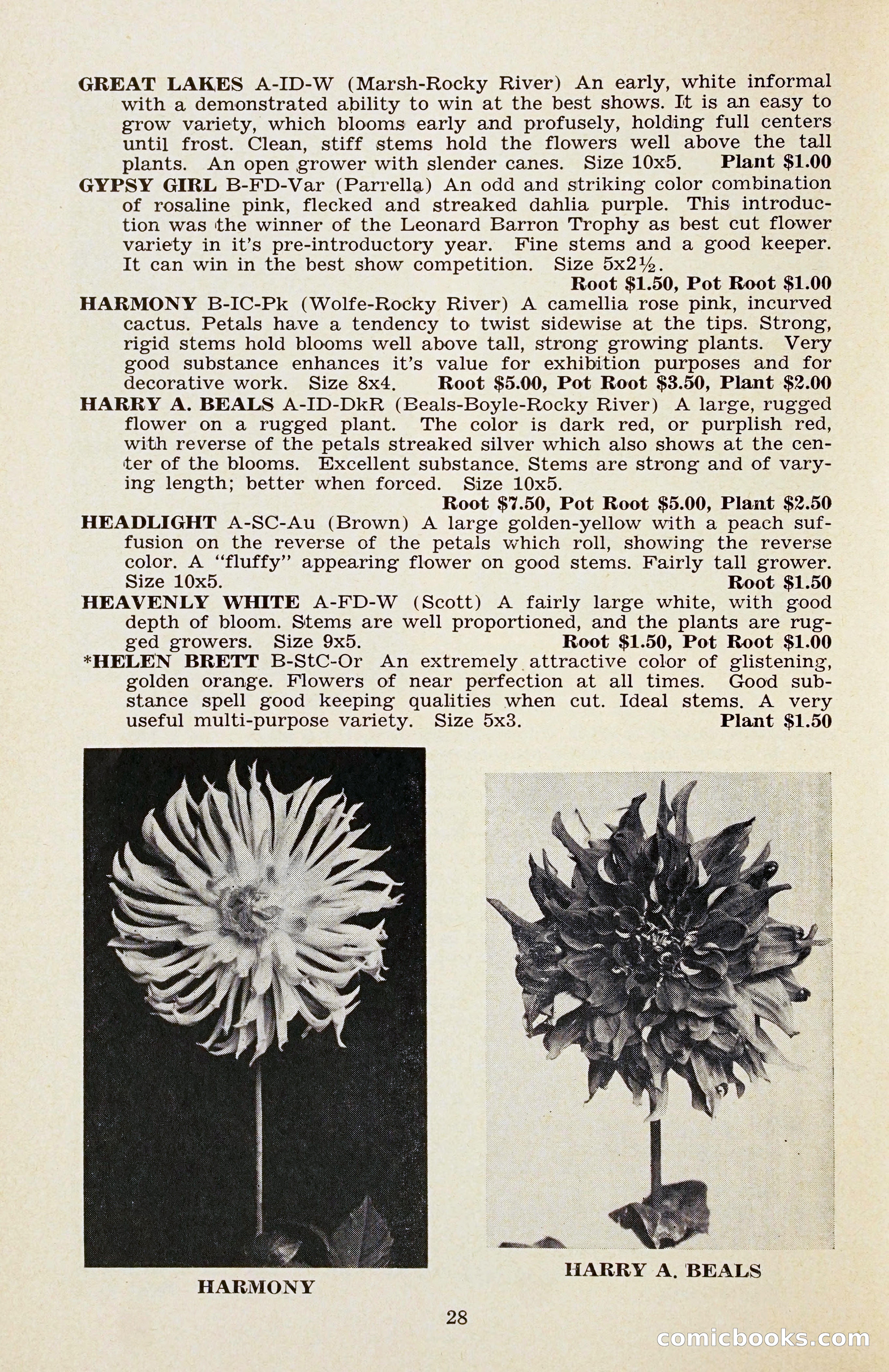 The Dahlia Blue Book for 1956 — page 31 of 69