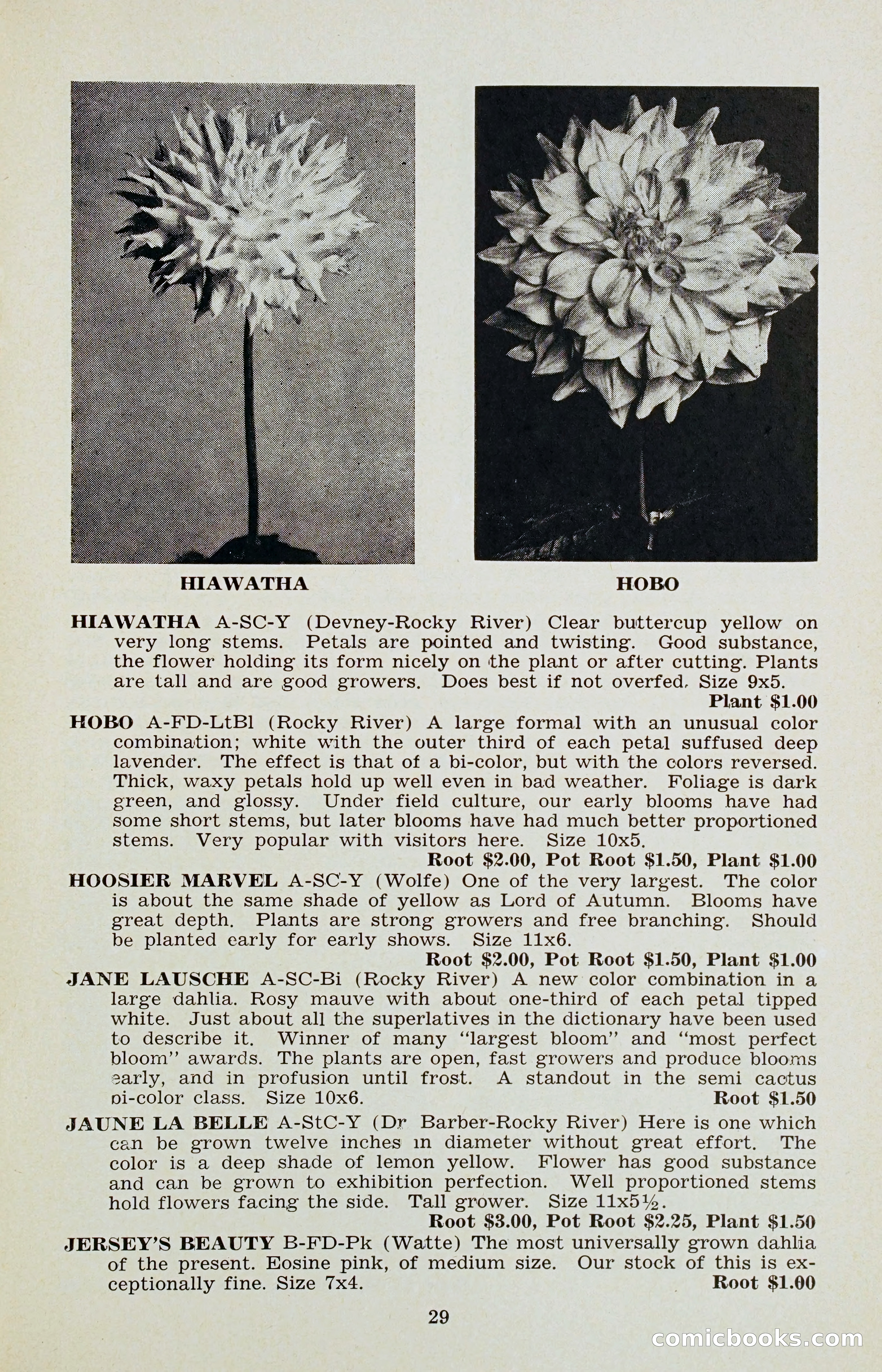The Dahlia Blue Book for 1956 — page 32 of 69