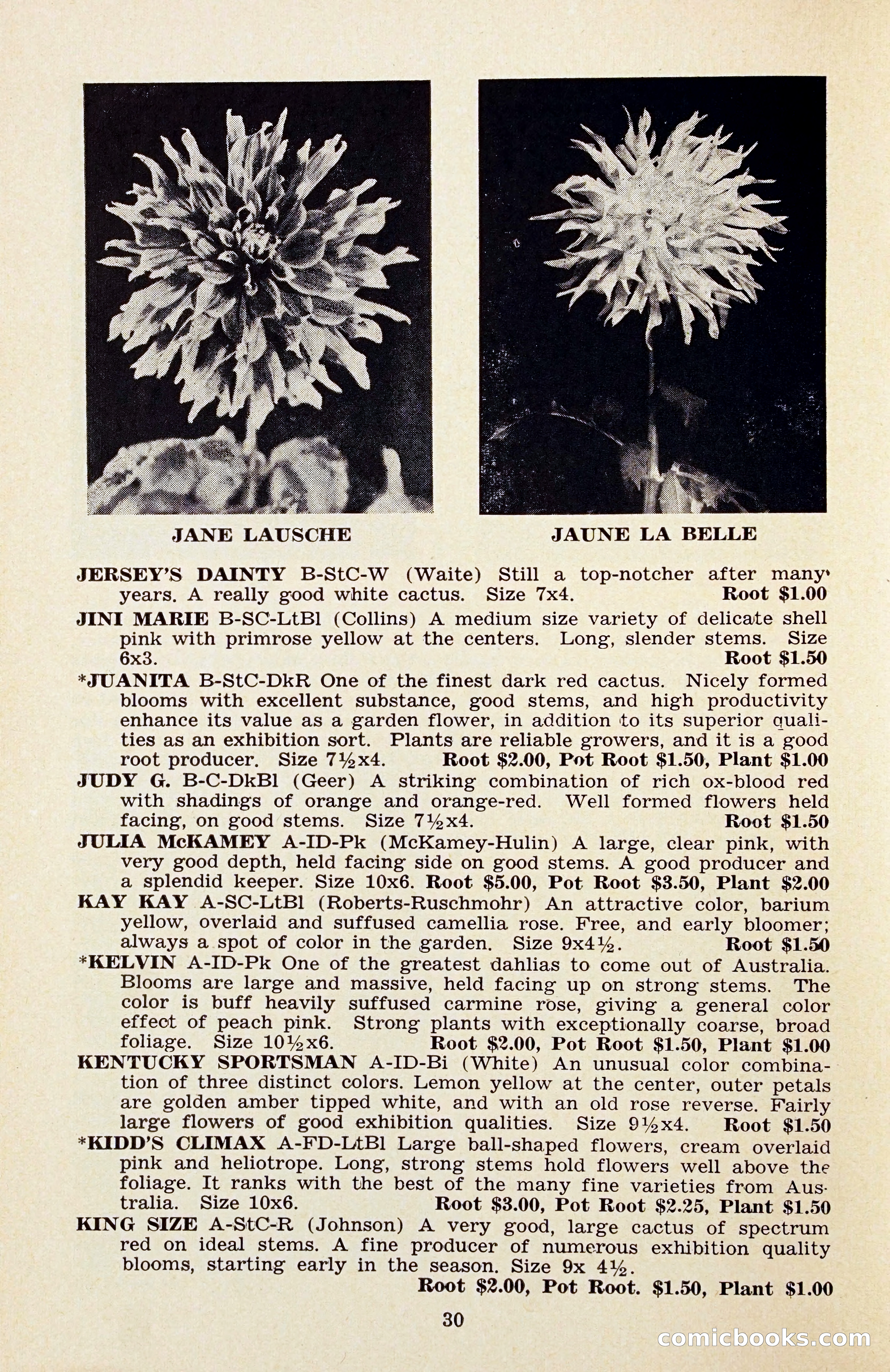 The Dahlia Blue Book for 1956 — page 33 of 69