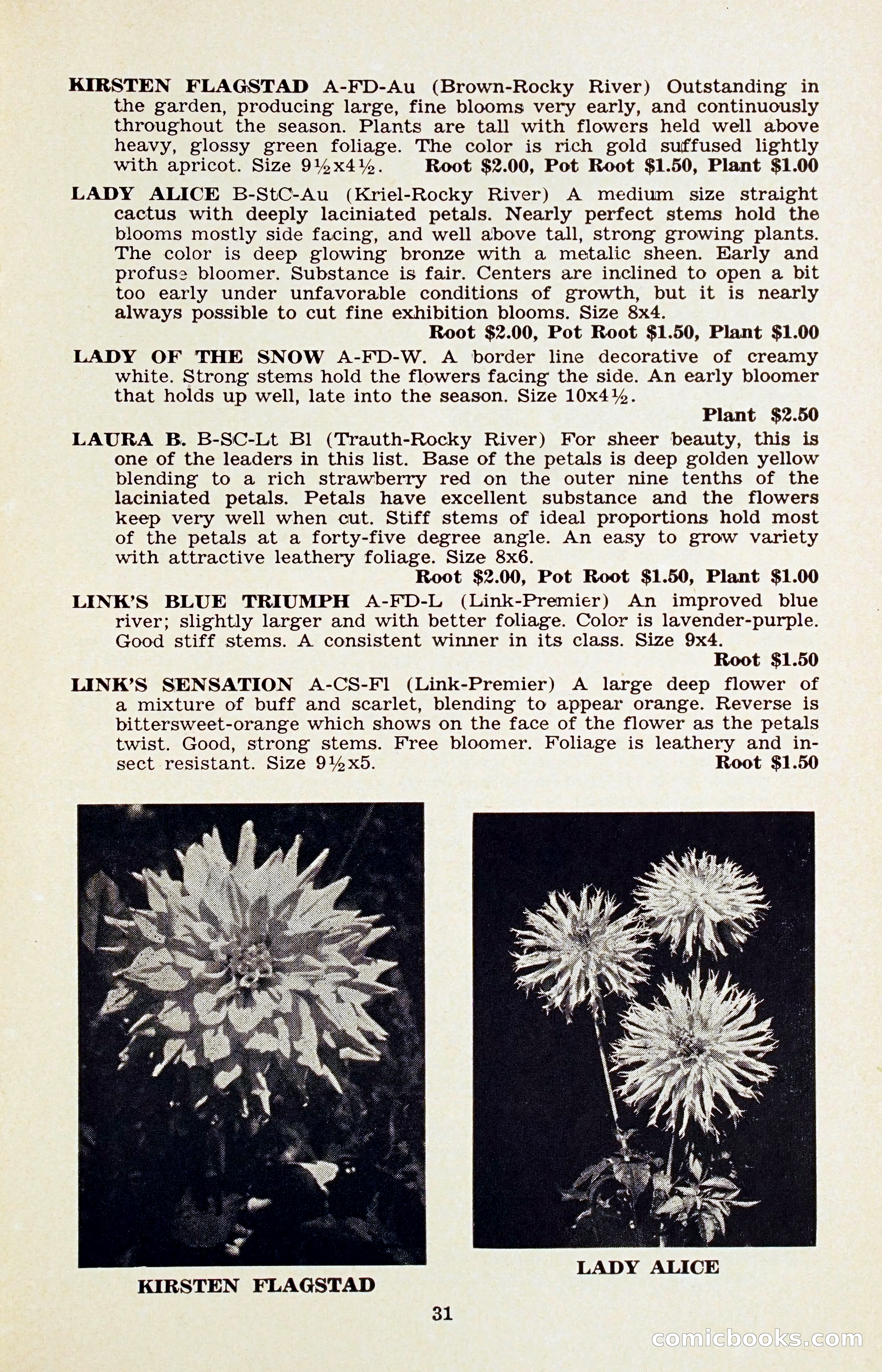 The Dahlia Blue Book for 1956 — page 34 of 69