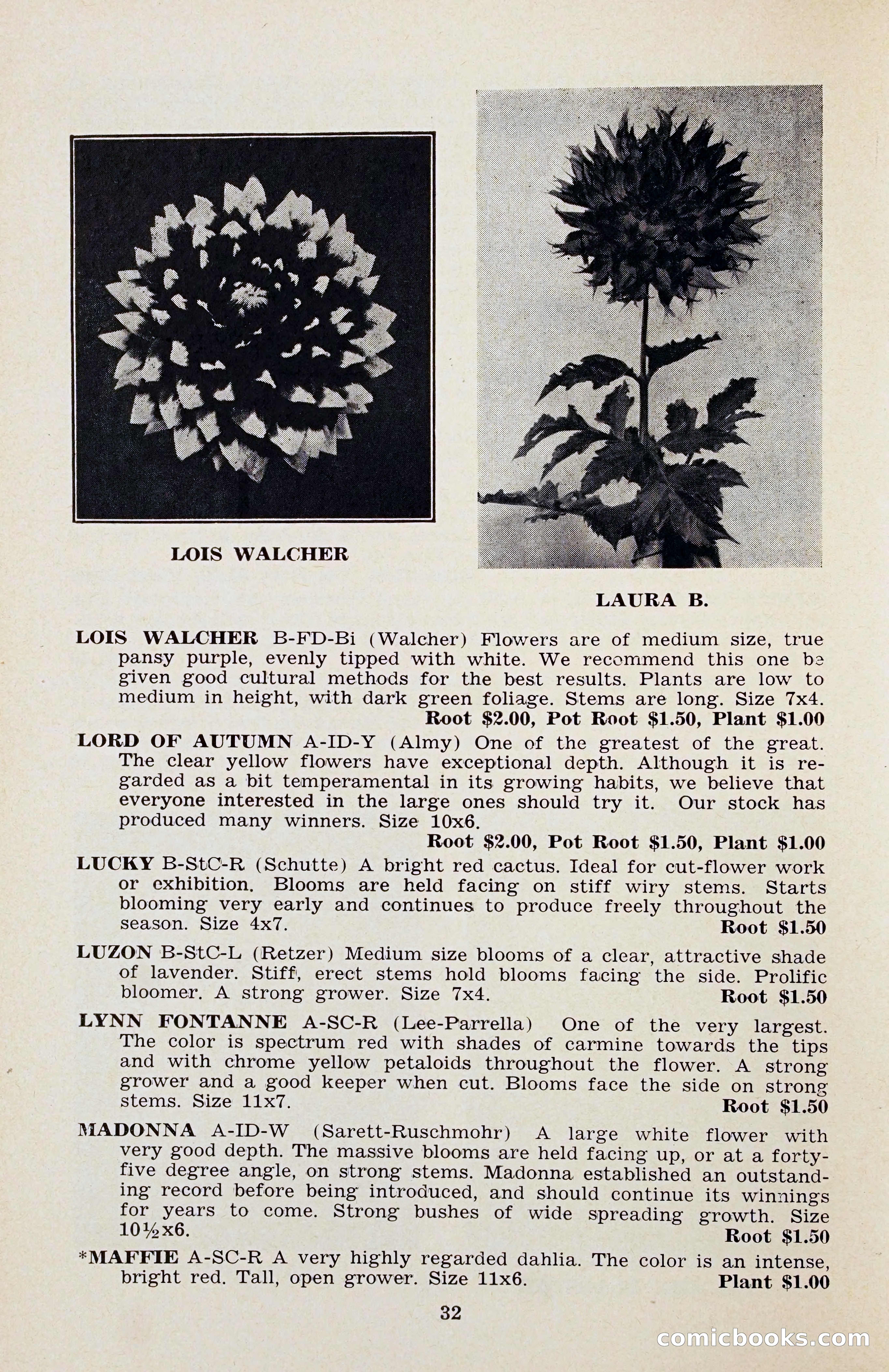 The Dahlia Blue Book for 1956 — page 35 of 69