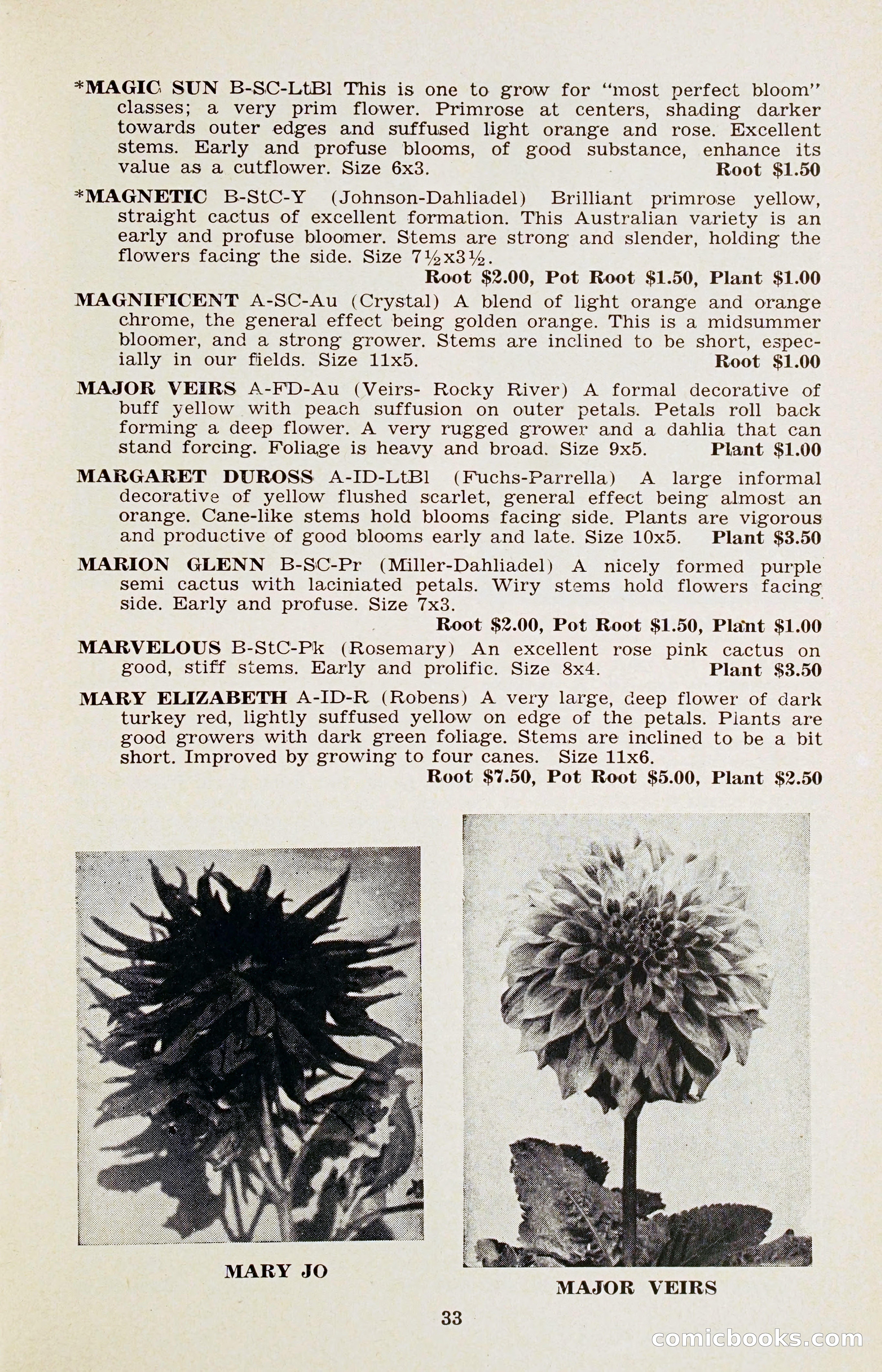 The Dahlia Blue Book for 1956 — page 36 of 69