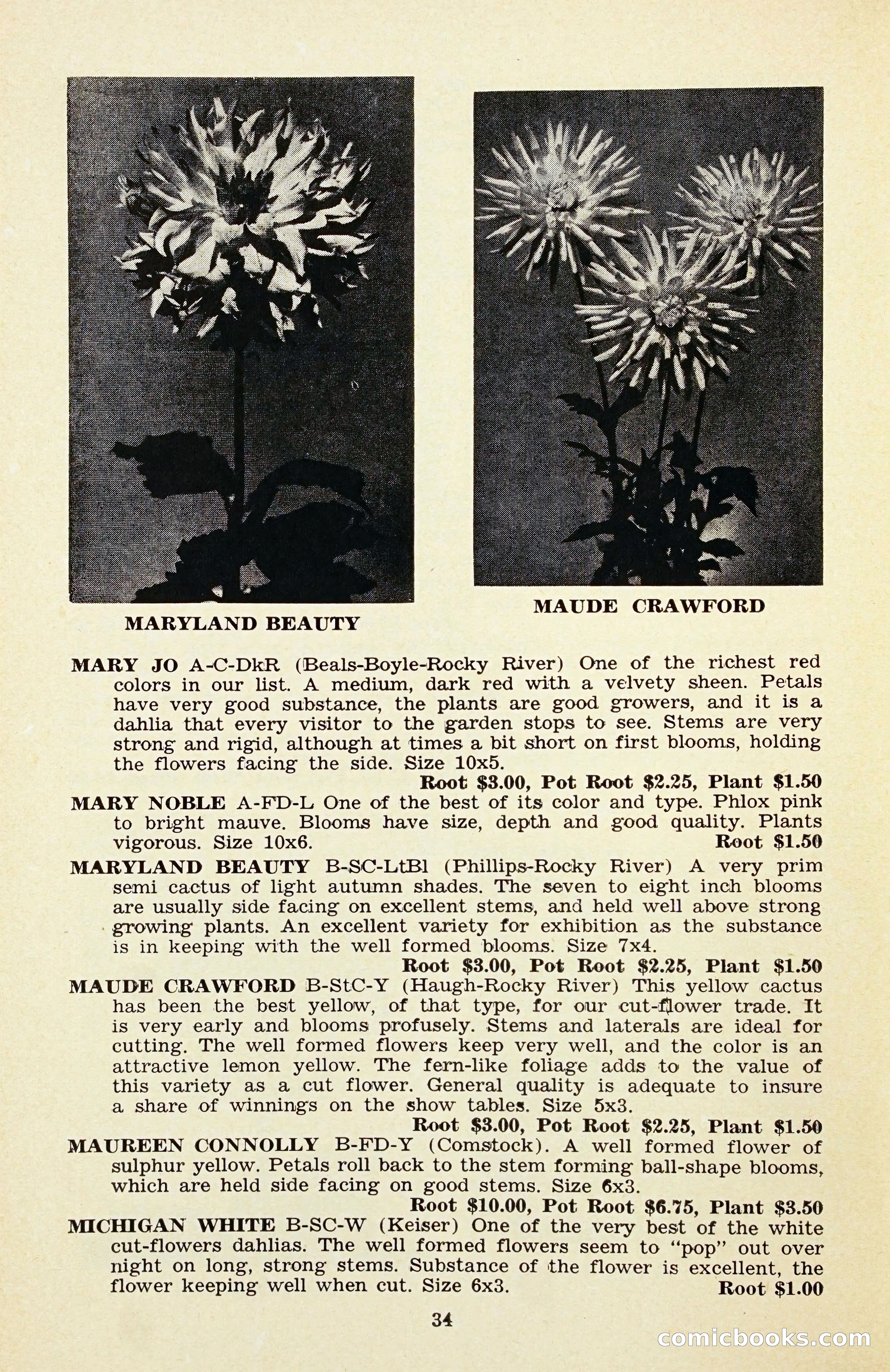 The Dahlia Blue Book for 1956 — page 37 of 69