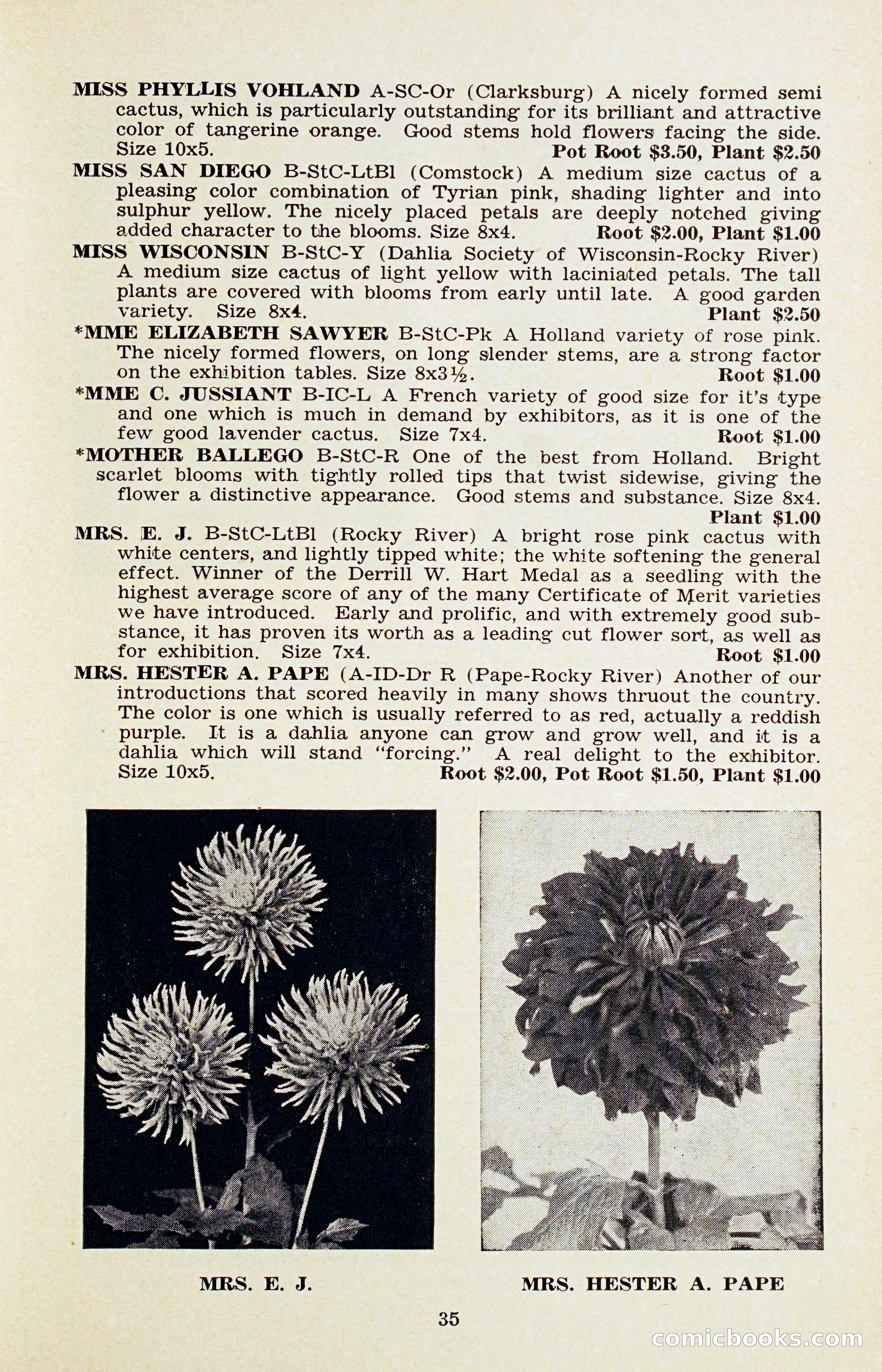 The Dahlia Blue Book for 1956 — page 38 of 69