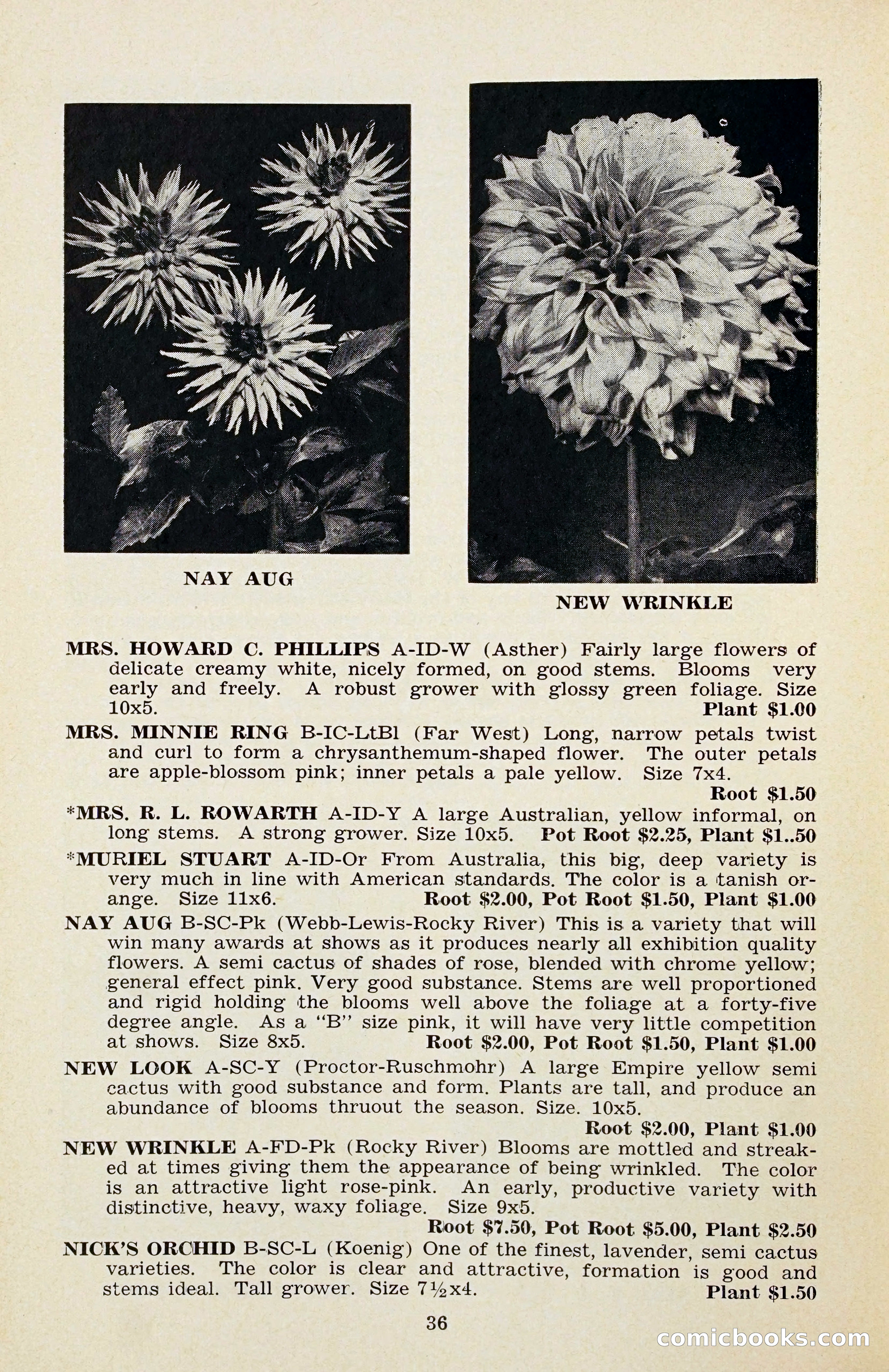 The Dahlia Blue Book for 1956 — page 39 of 69