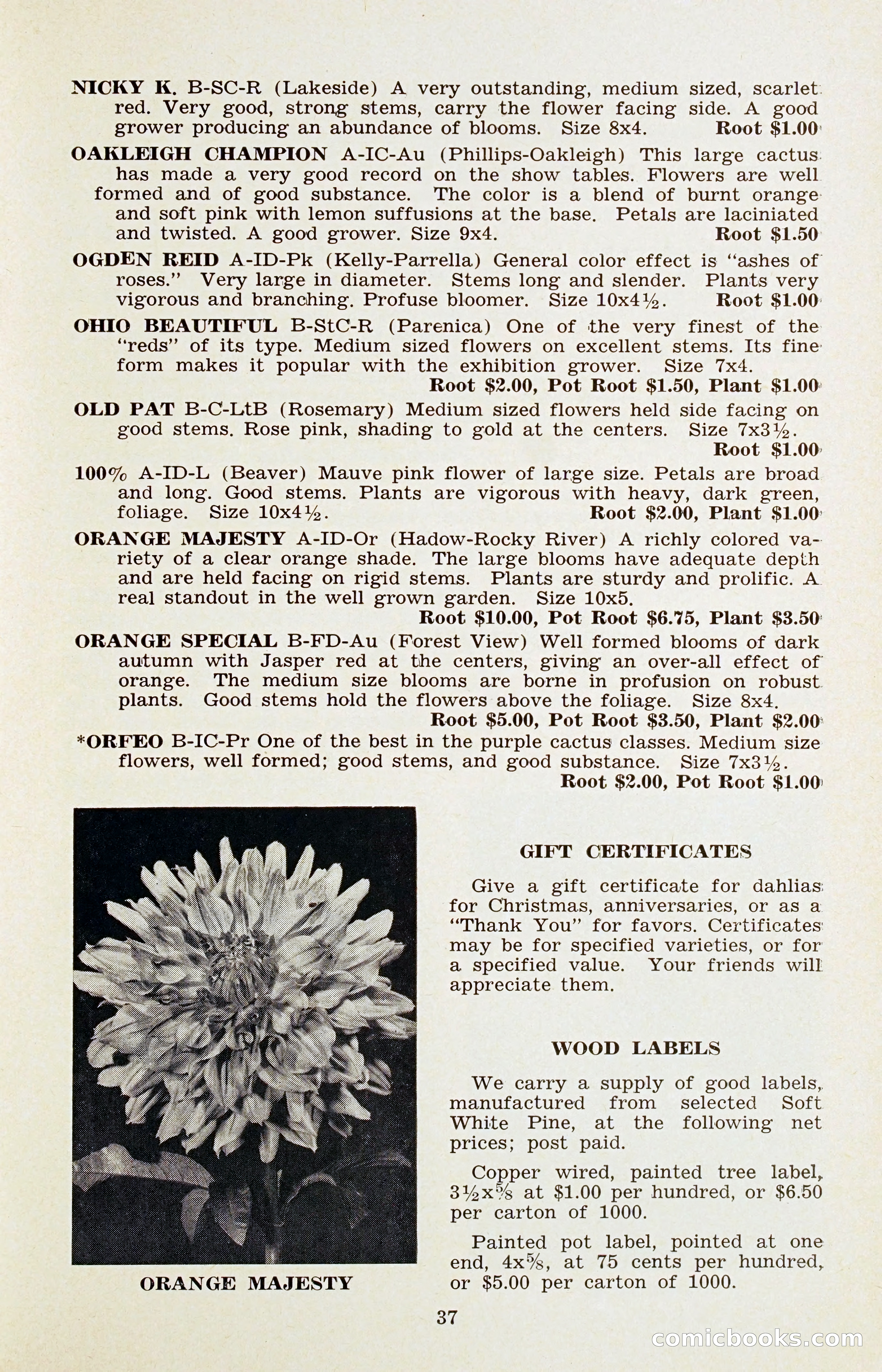 The Dahlia Blue Book for 1956 — page 40 of 69