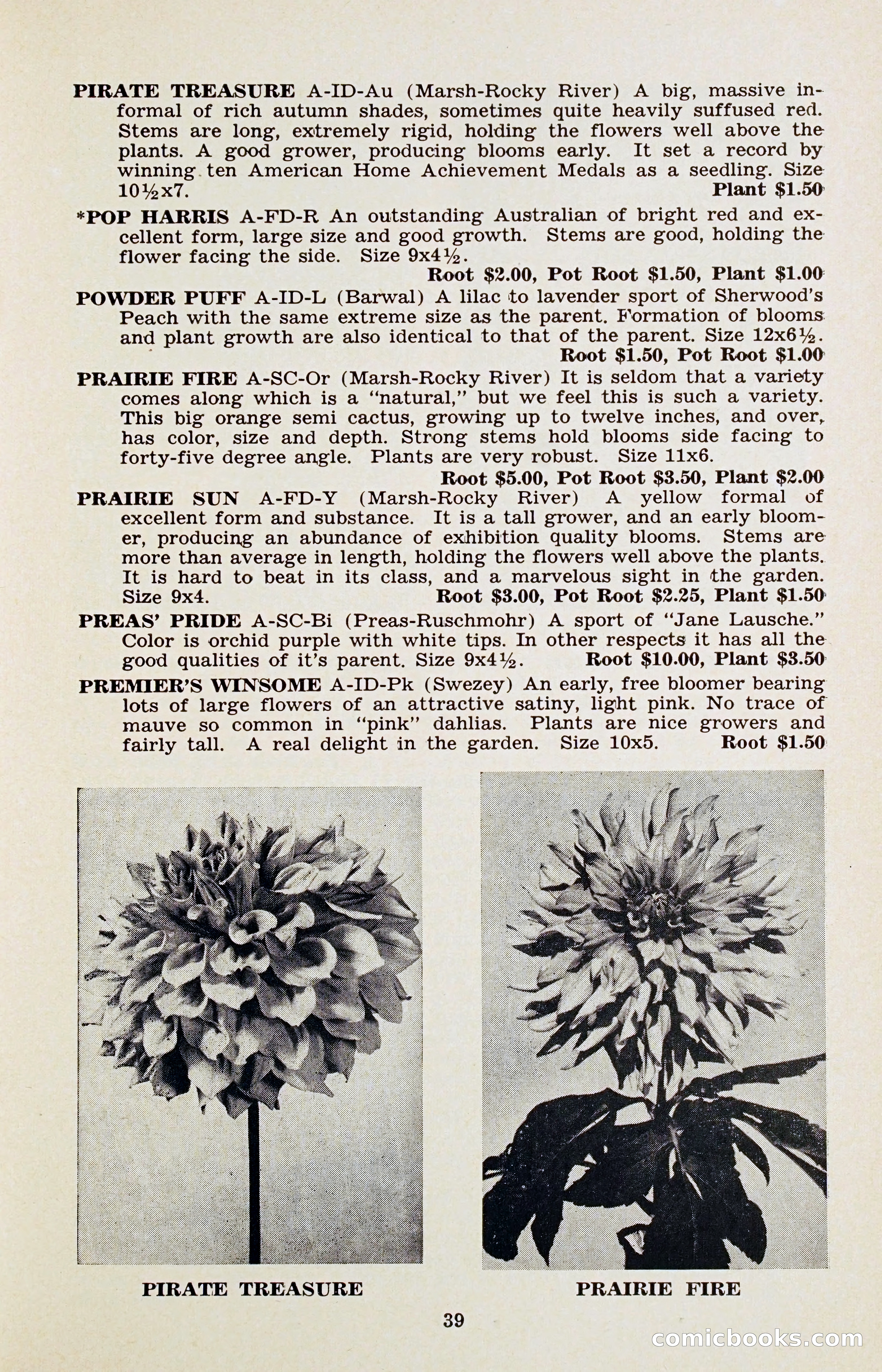 The Dahlia Blue Book for 1956 — page 42 of 69