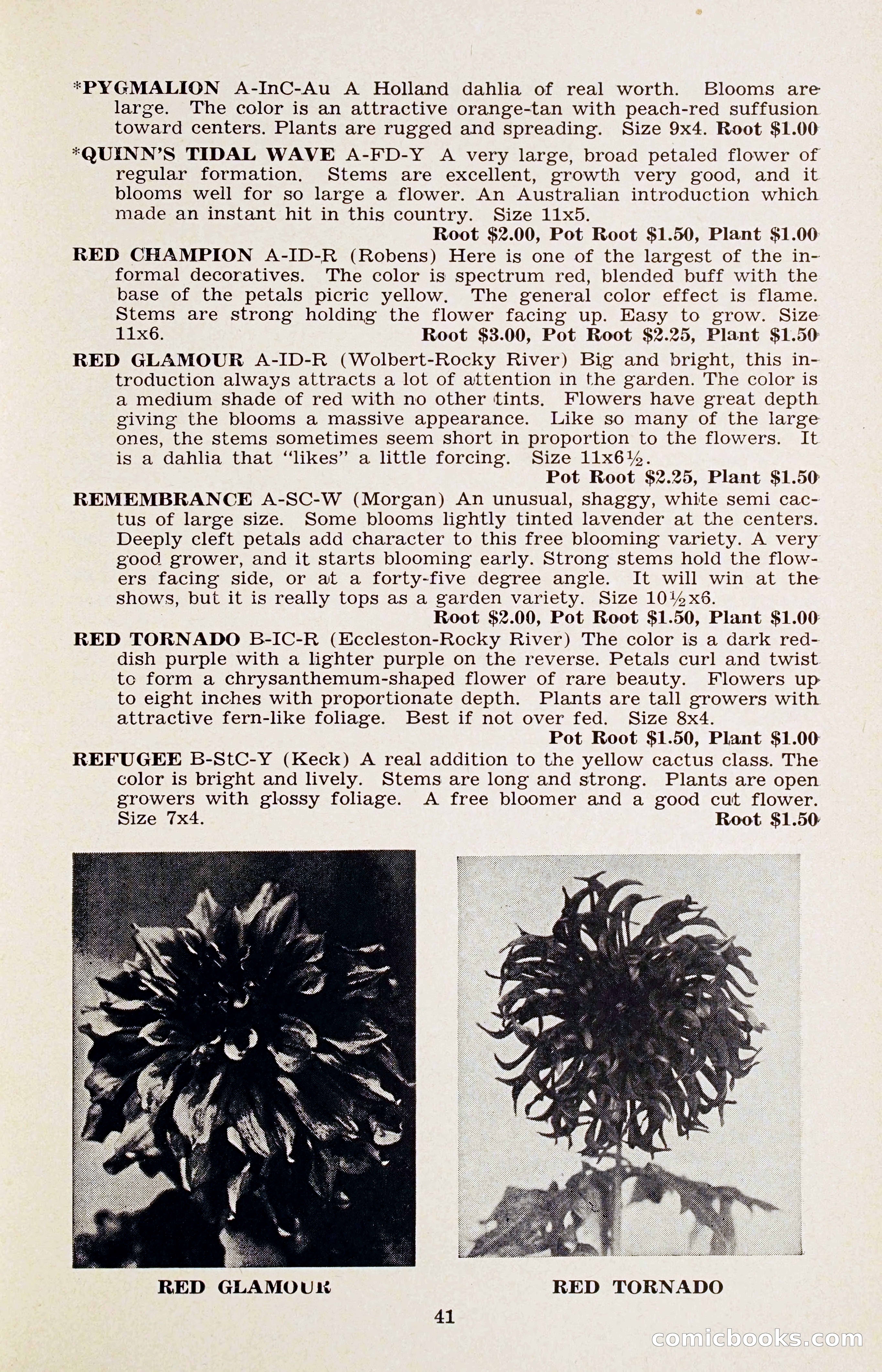 The Dahlia Blue Book for 1956 — page 44 of 69