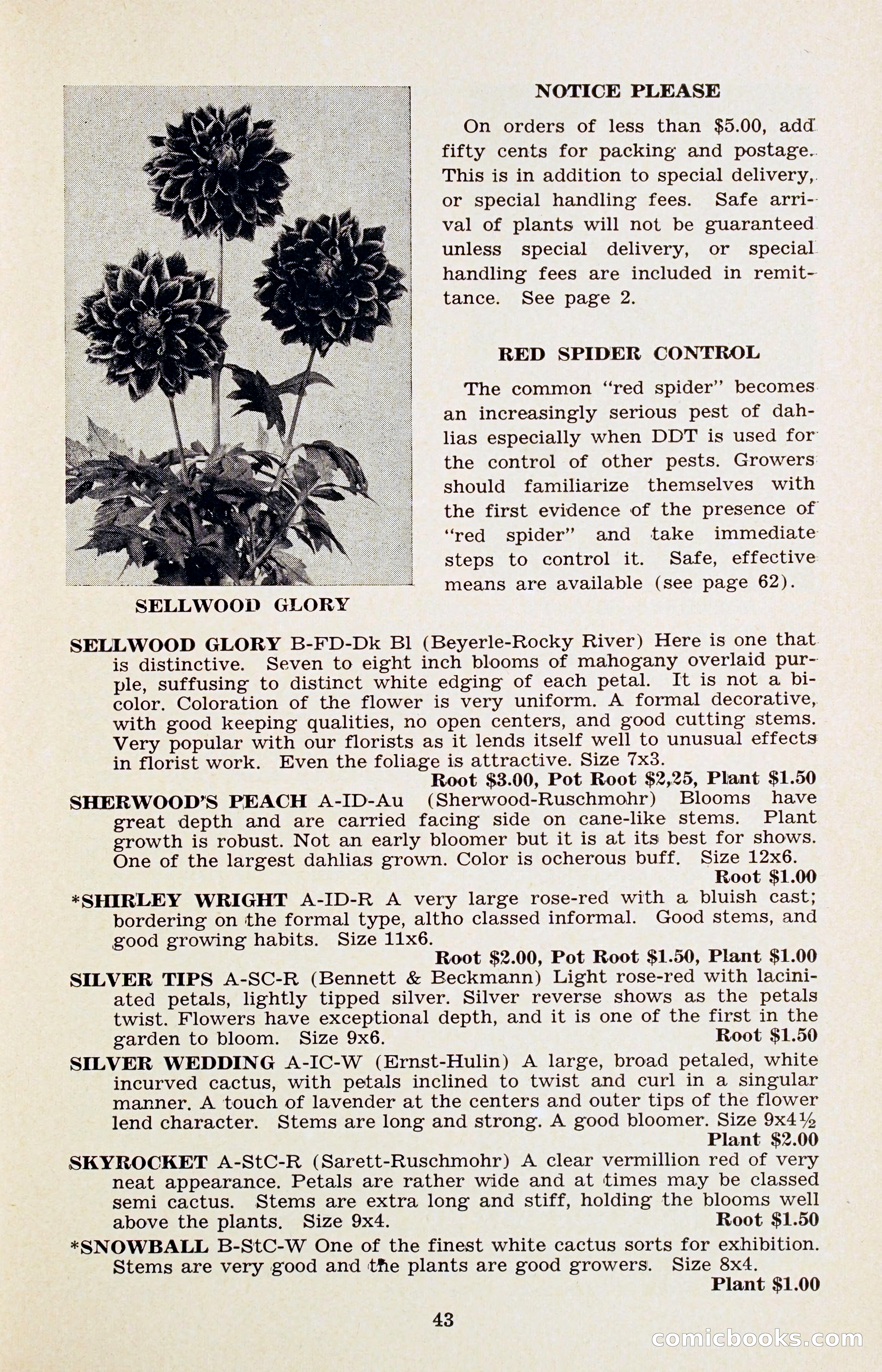 The Dahlia Blue Book for 1956 — page 46 of 69