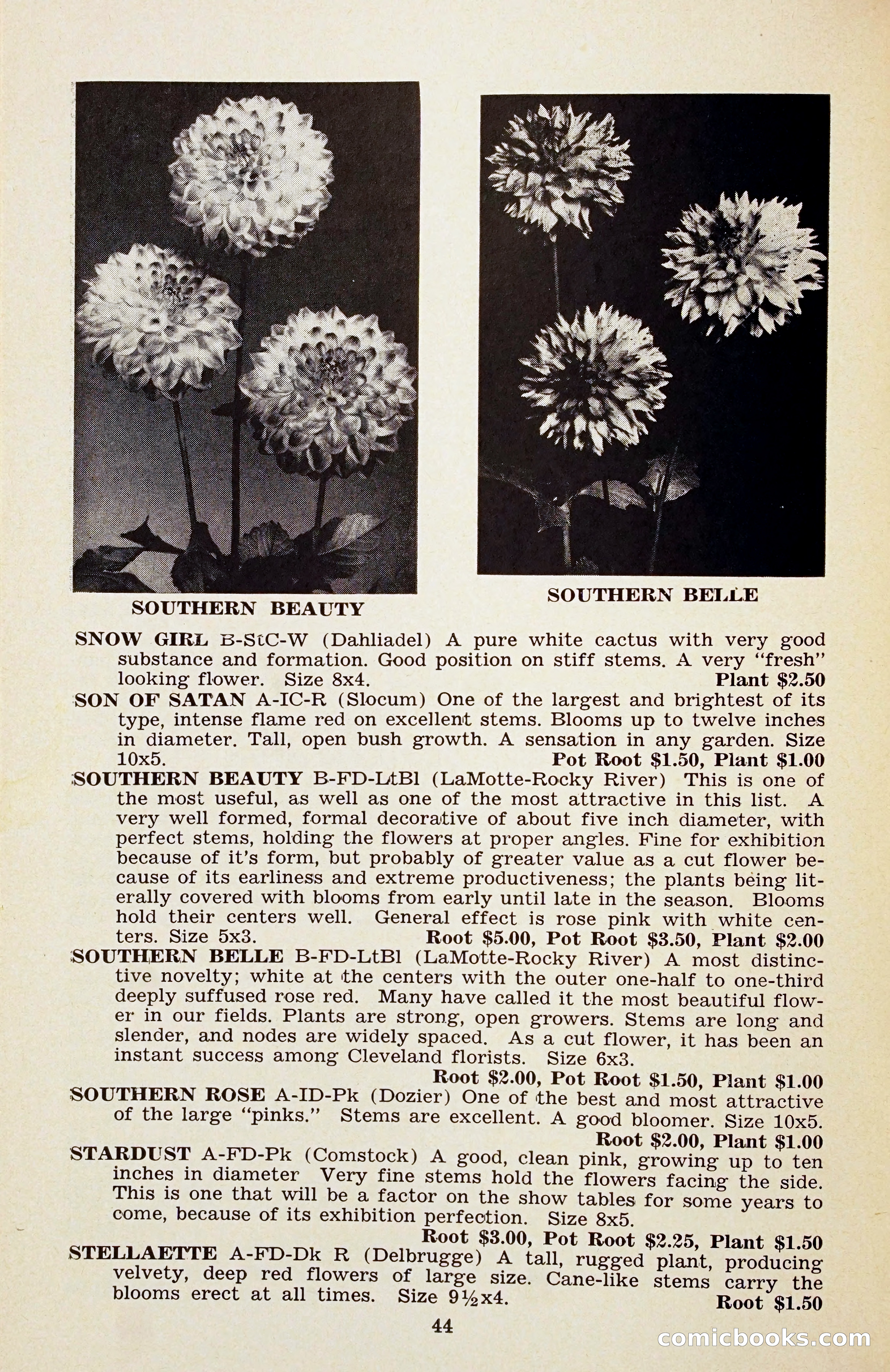 The Dahlia Blue Book for 1956 — page 47 of 69