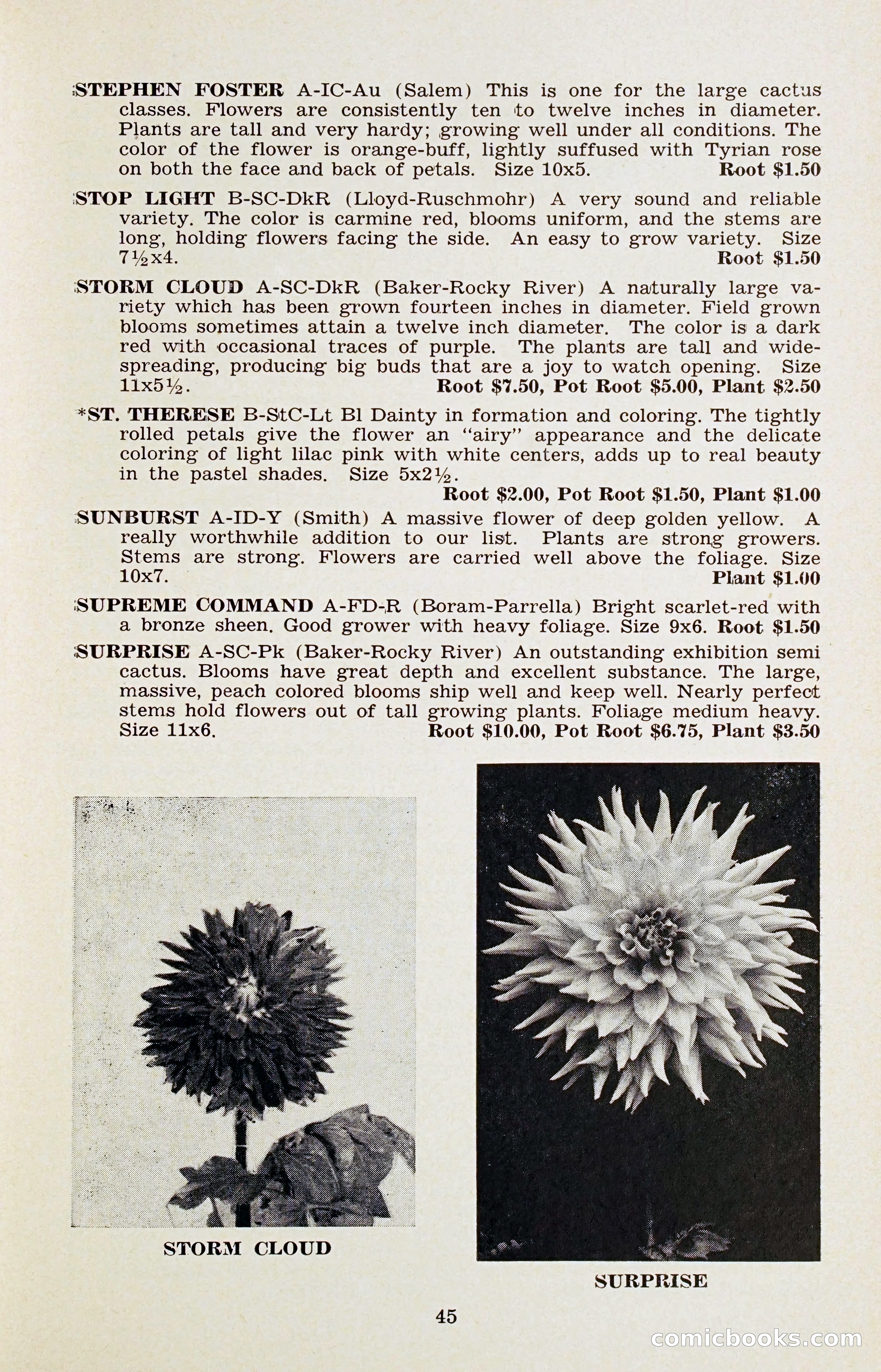 The Dahlia Blue Book for 1956 — page 48 of 69