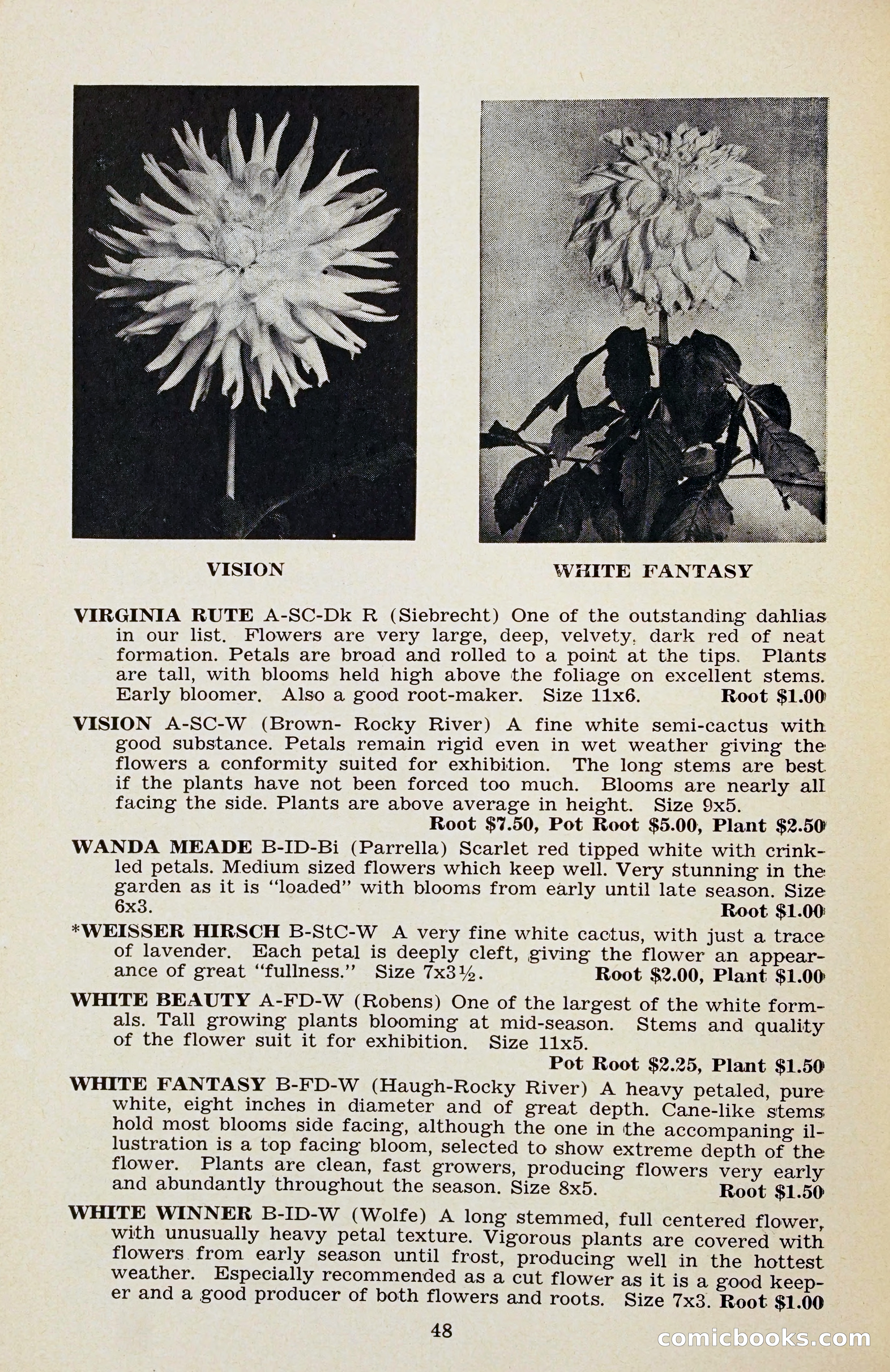 The Dahlia Blue Book for 1956 — page 51 of 69
